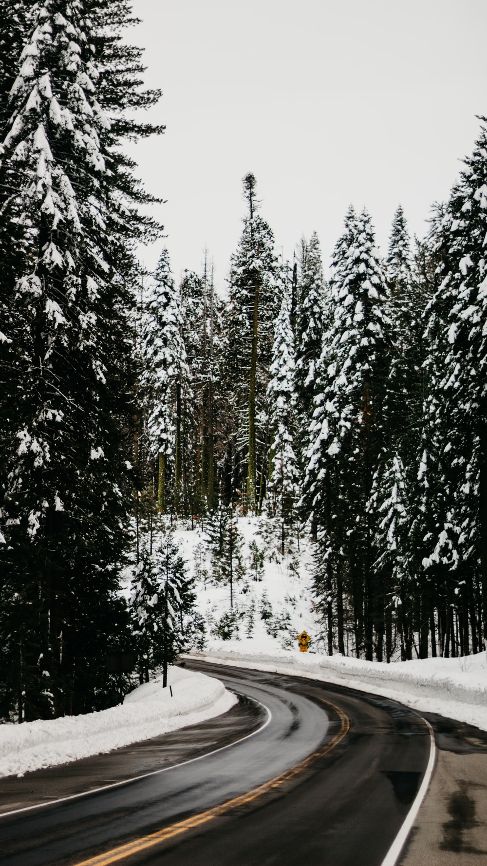 Road Between Snow Covered Trees Wallpapers