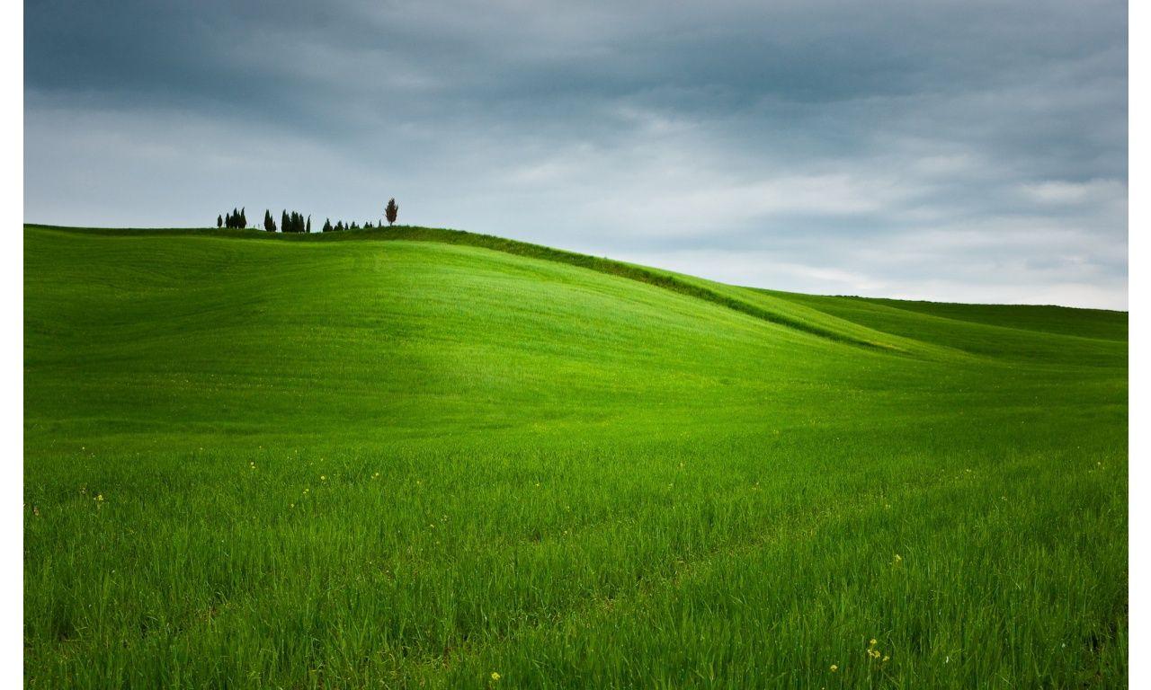 Rolling Green Hills Wallpapers