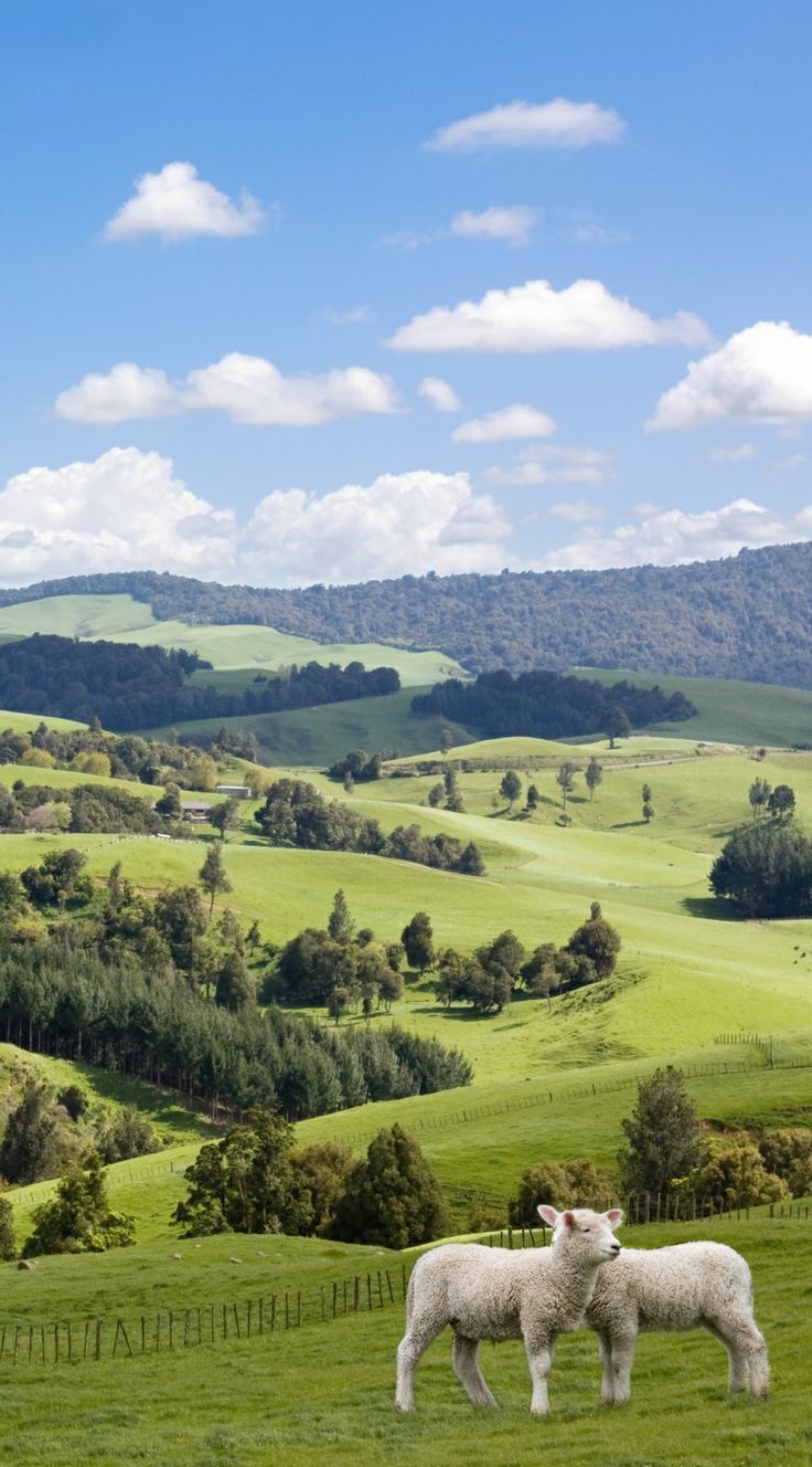 Rolling Green Hills Wallpapers