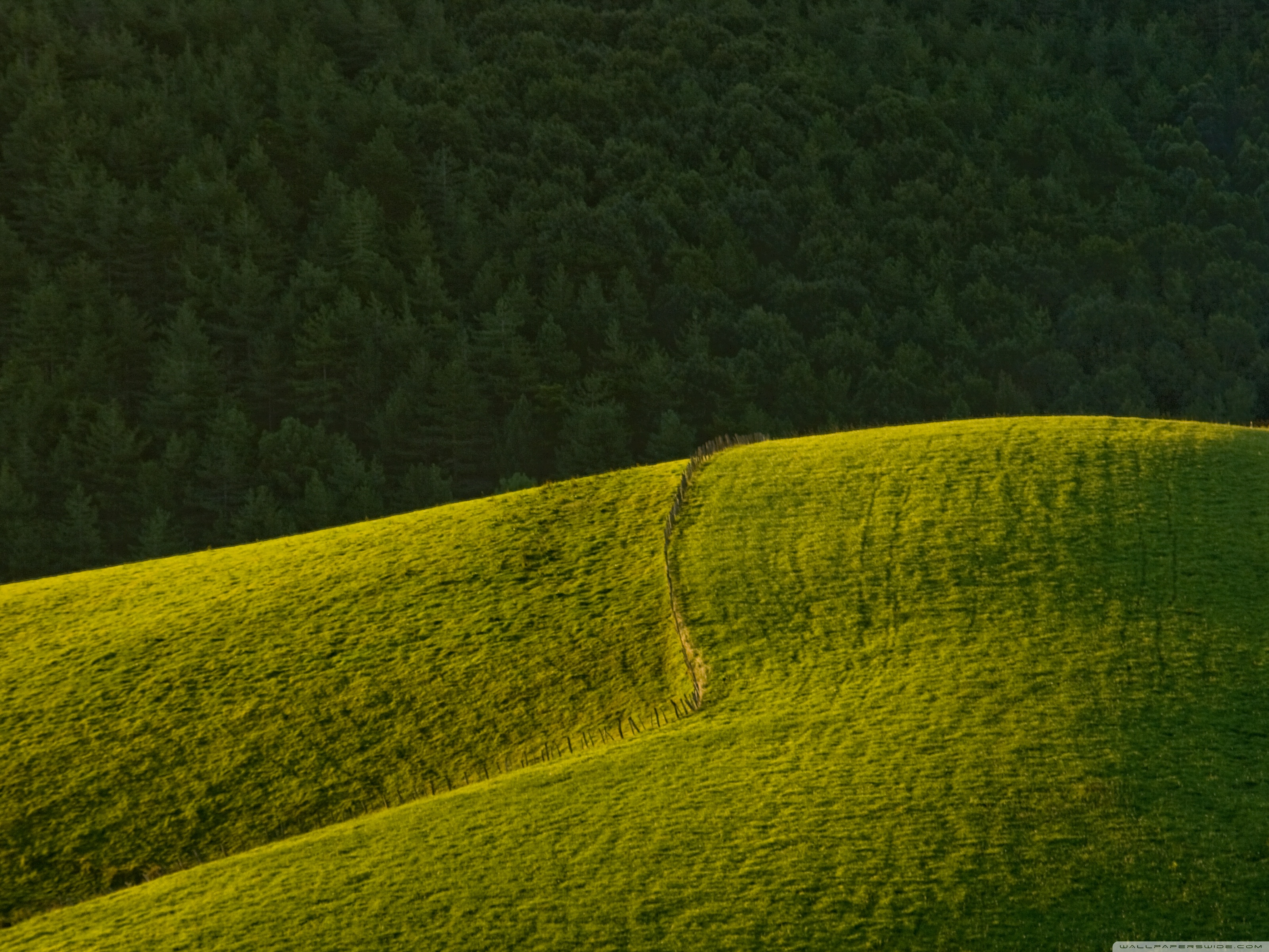 Rolling Green Hills Wallpapers