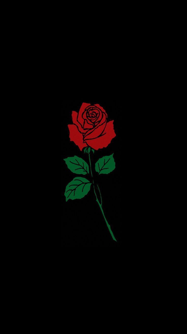 Rose Wallpapers