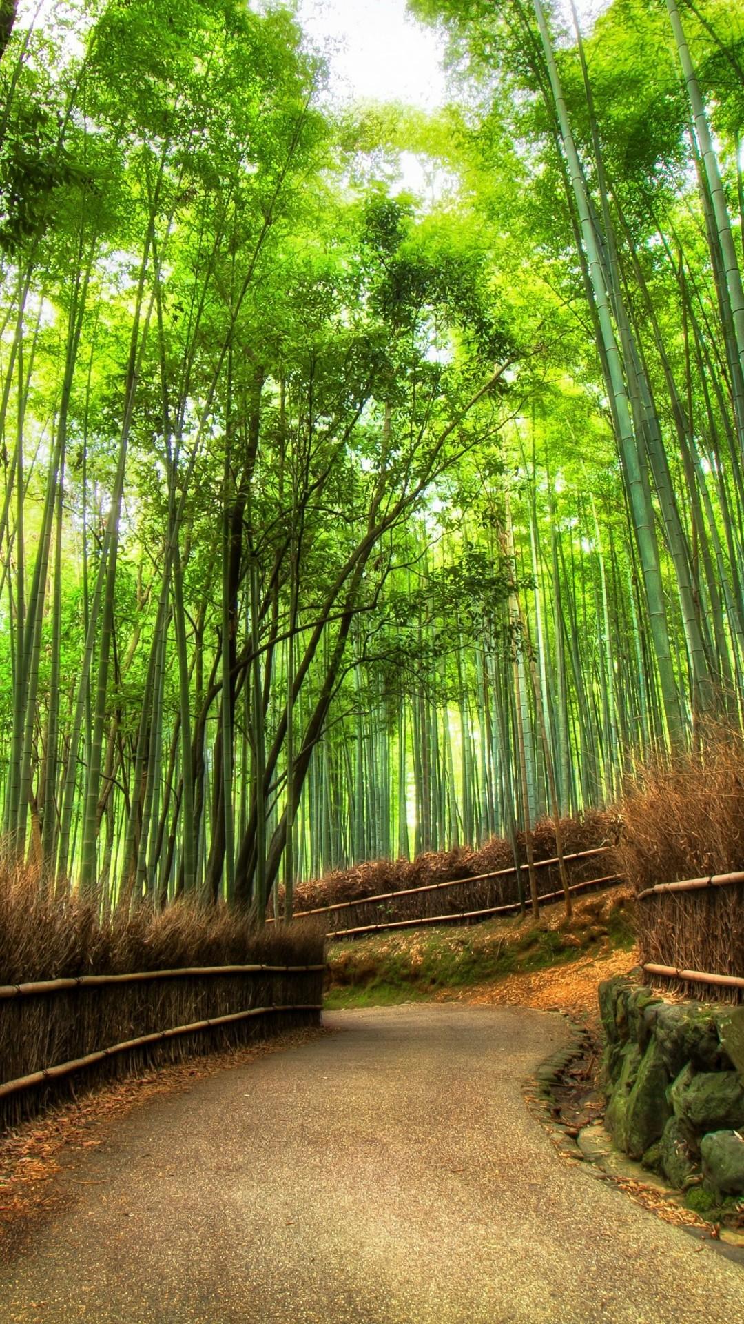 Sagano Bamboo Forest Wallpapers