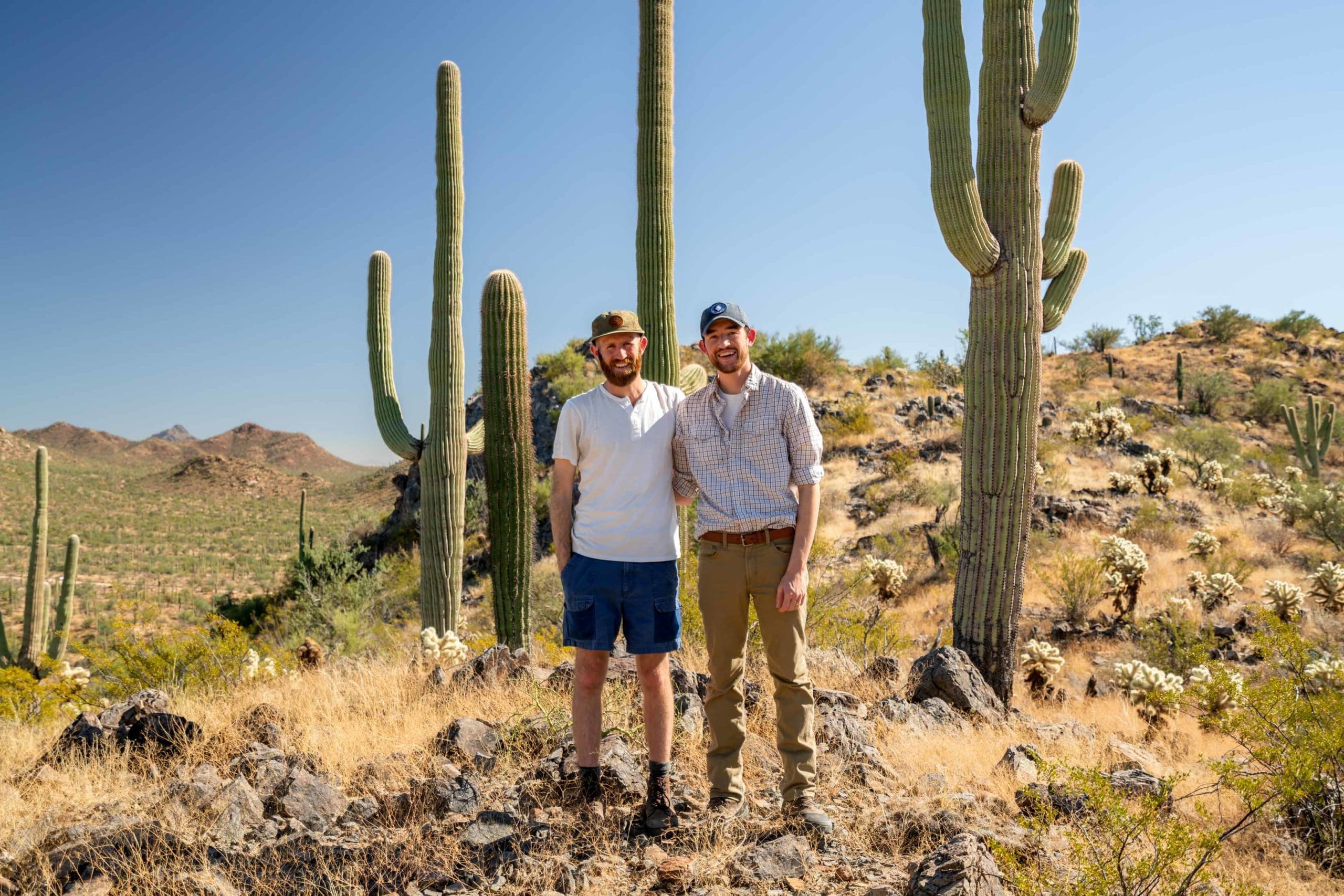 Saguaro National Park Wallpapers