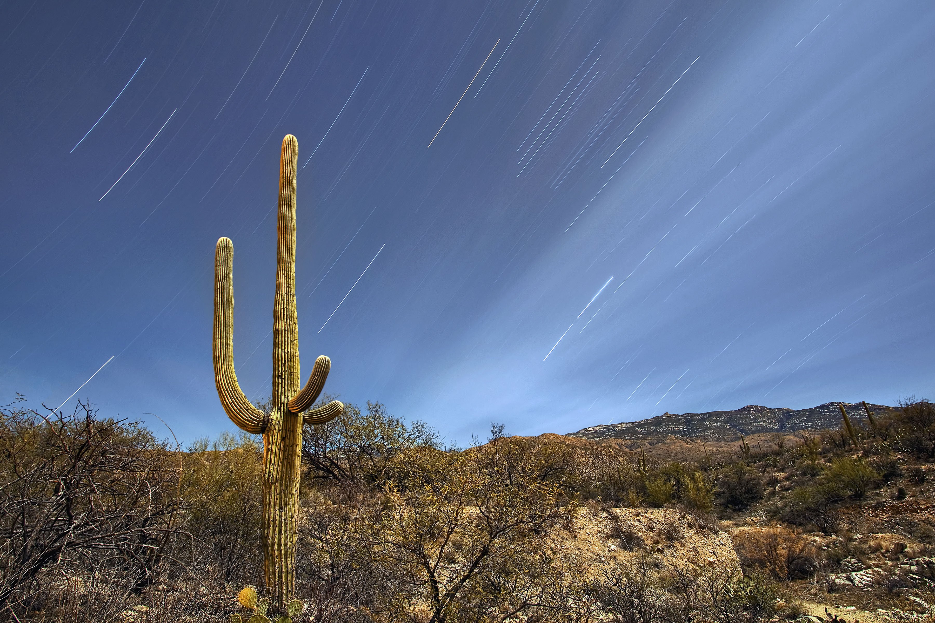 Saguaro National Park Wallpapers