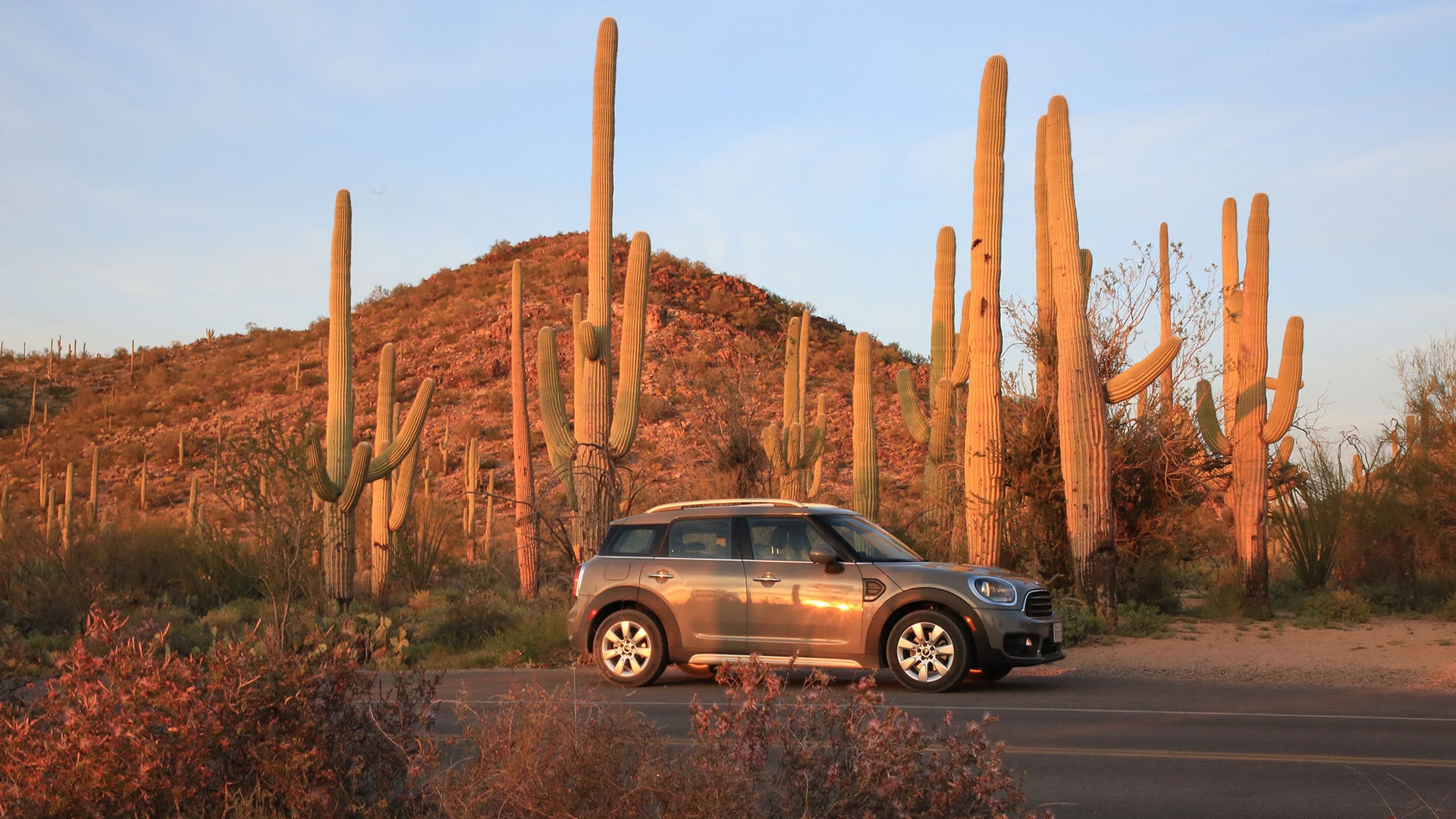 Saguaro National Park Wallpapers