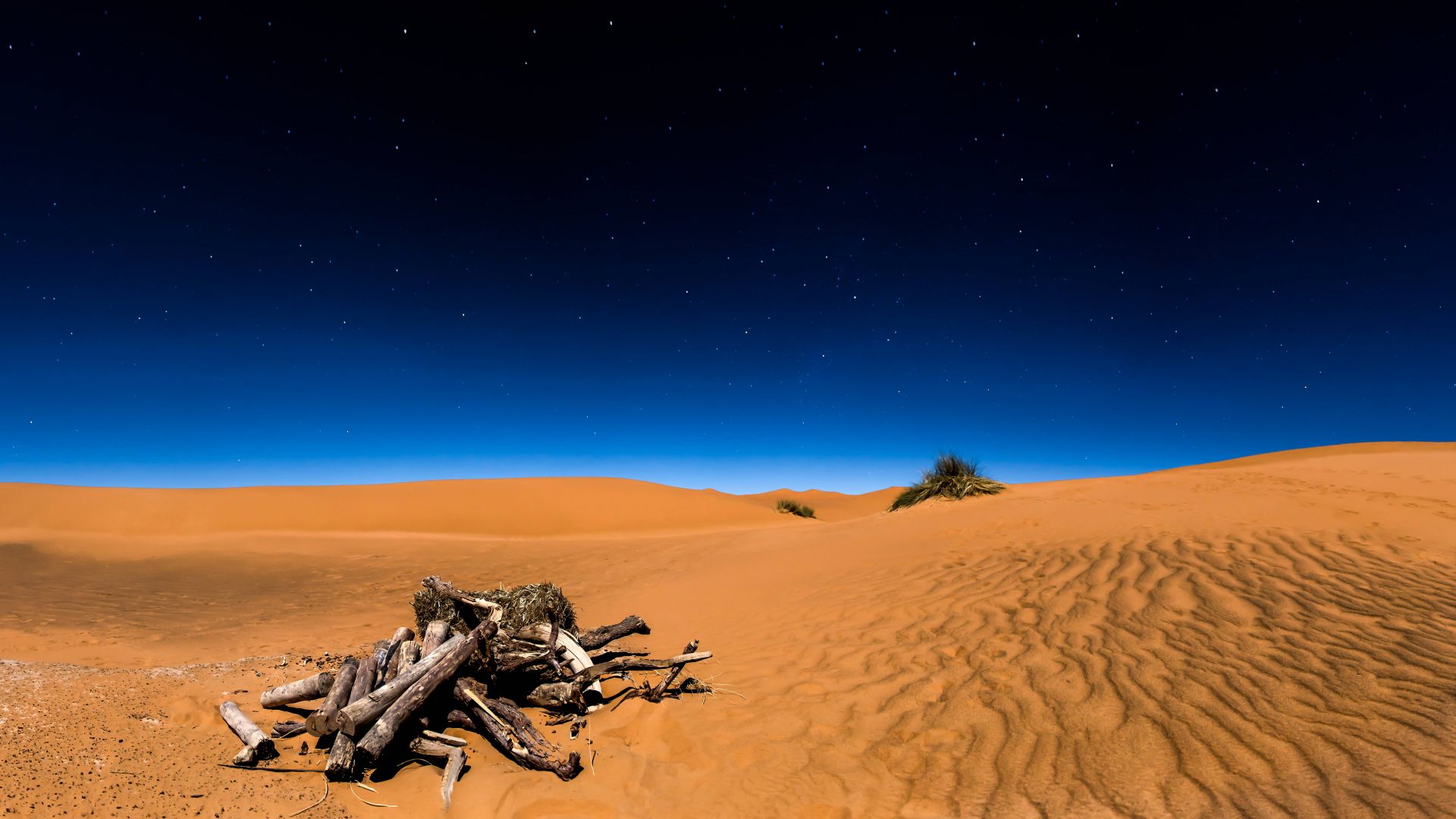 Sahara Desert In Scenery Night Wallpapers