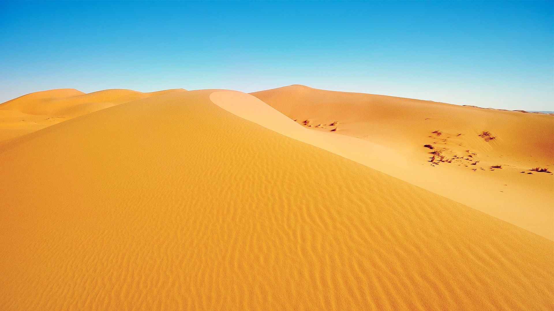 Sahara Desert In Summer Wallpapers