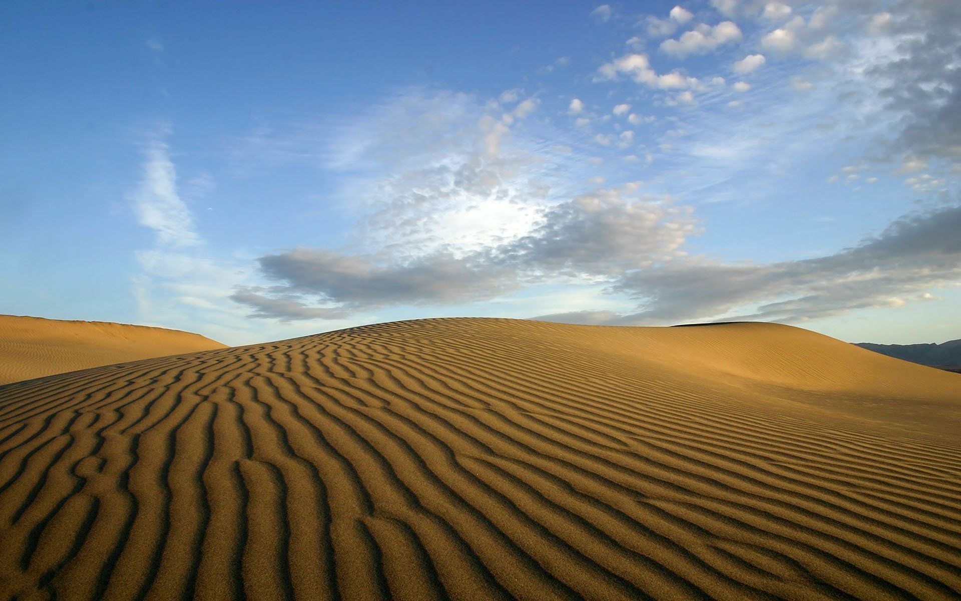 Sahara Desert In Summer Wallpapers