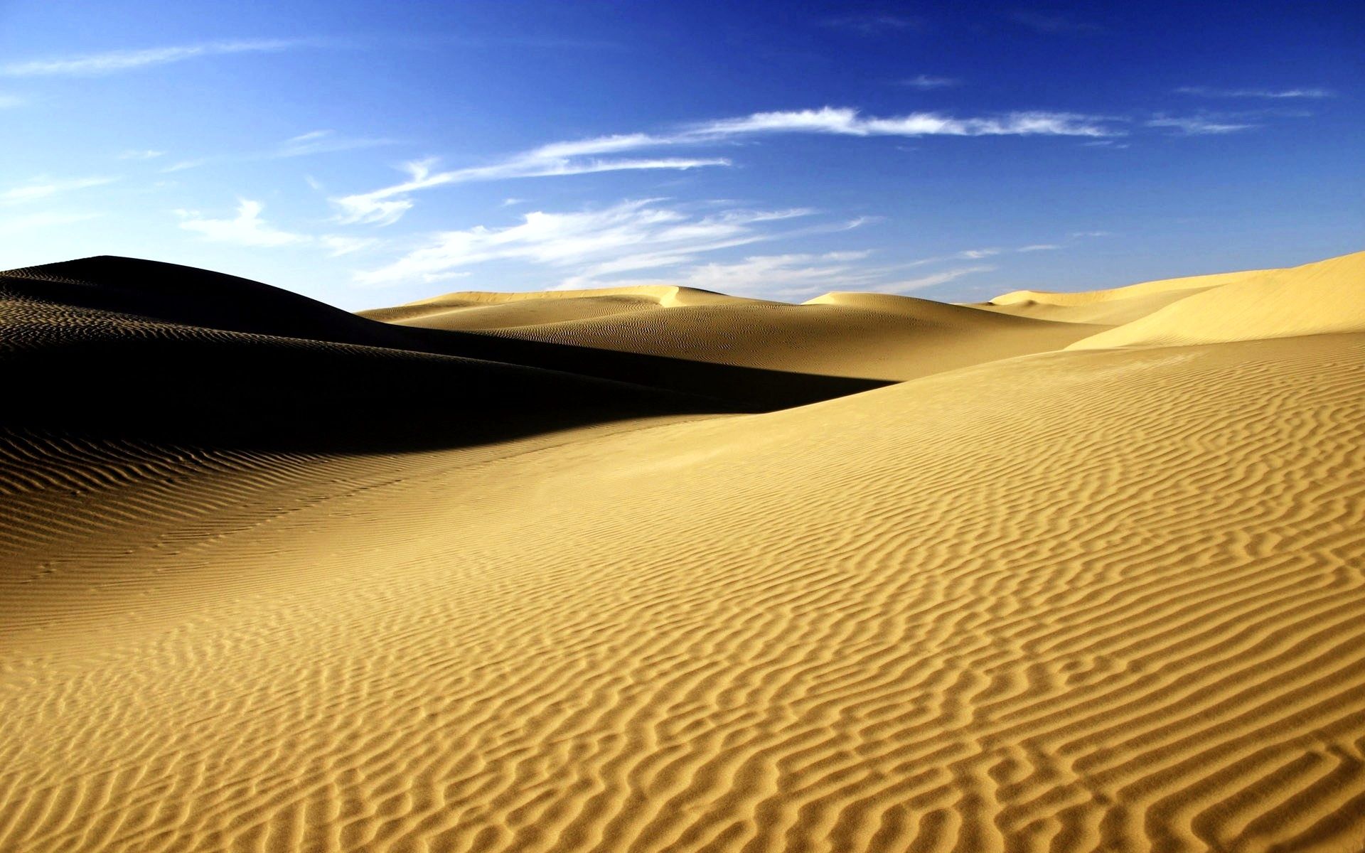 Sahara Desert In Summer Wallpapers