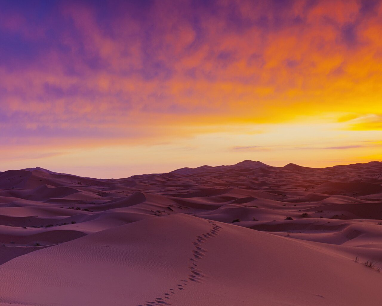 Sahara Desert In Summer Wallpapers