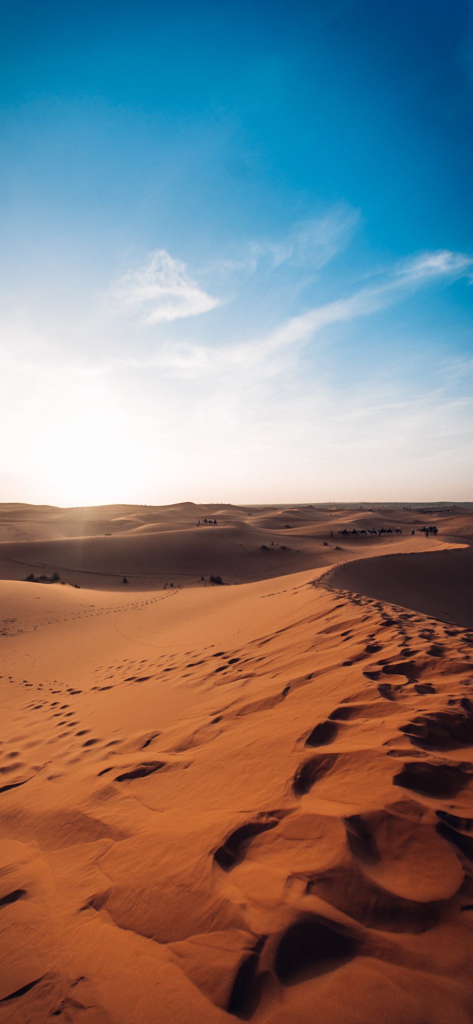 Sahara Desert In Summer Wallpapers