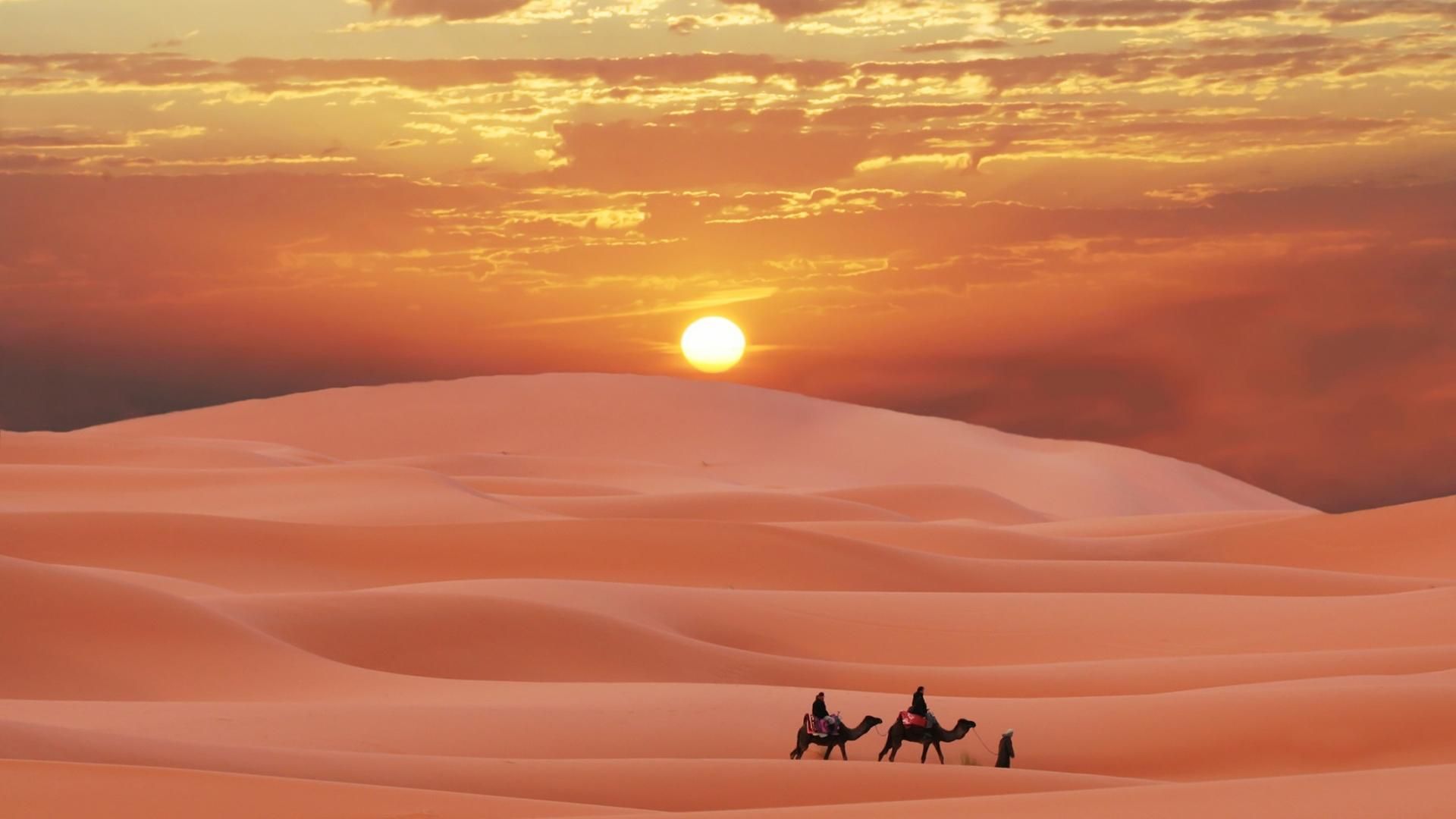 Sahara Desert In Summer Wallpapers