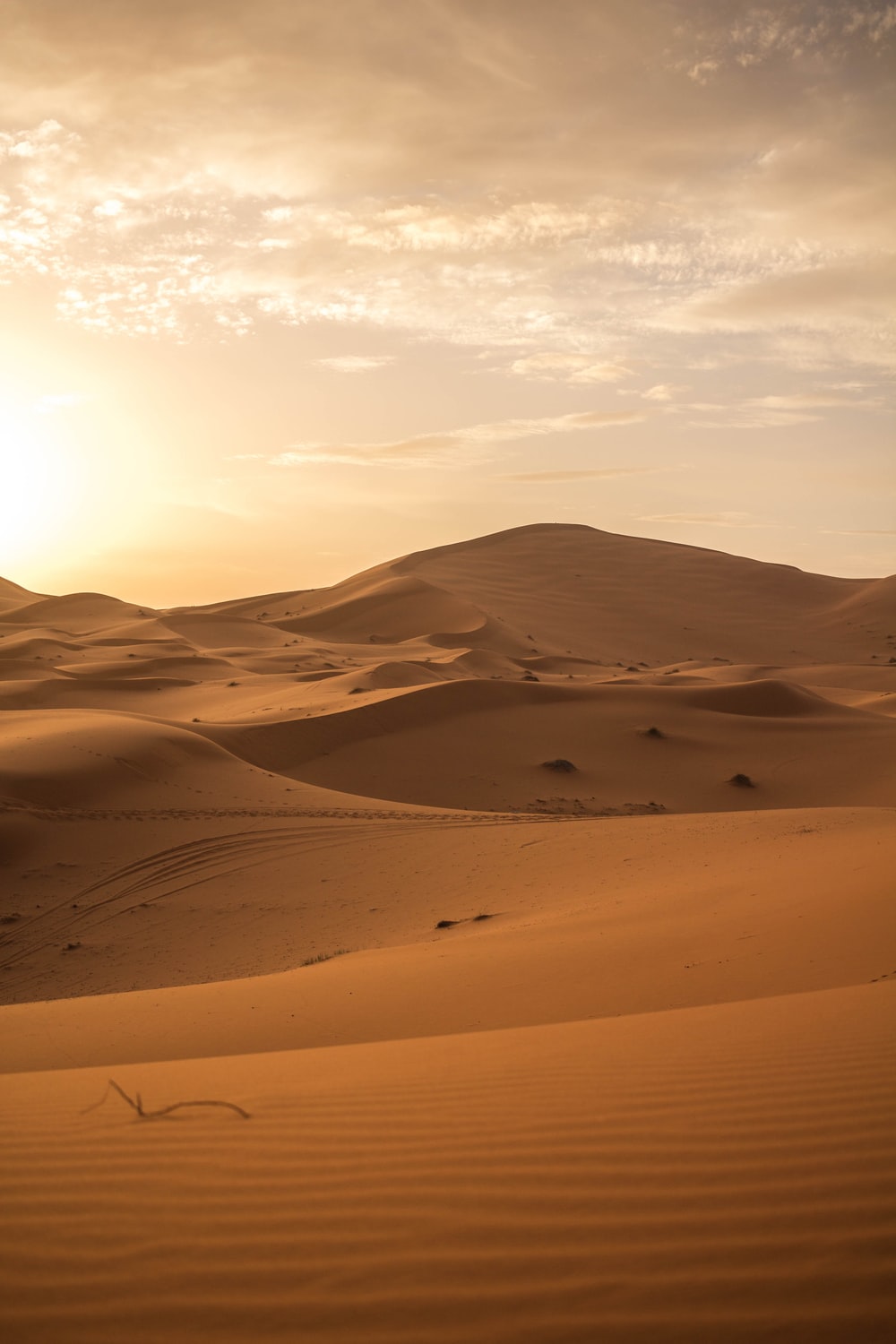 Sahara Desert In Summer Wallpapers