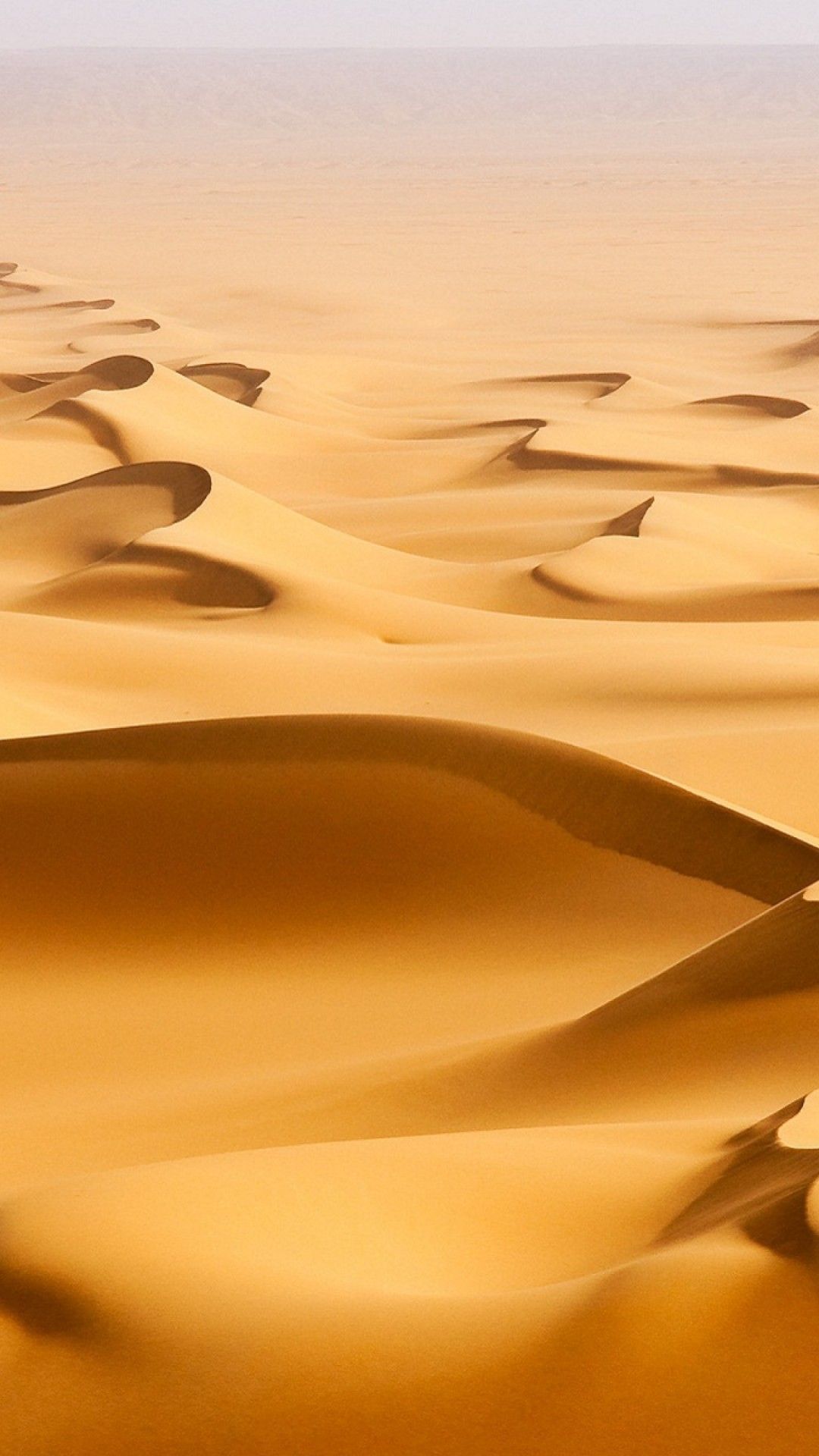 Sahara Desert In Summer Wallpapers