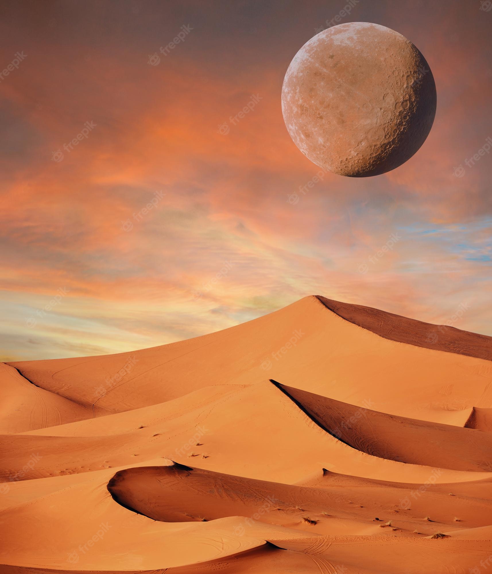 Sahara Desert In Summer Wallpapers