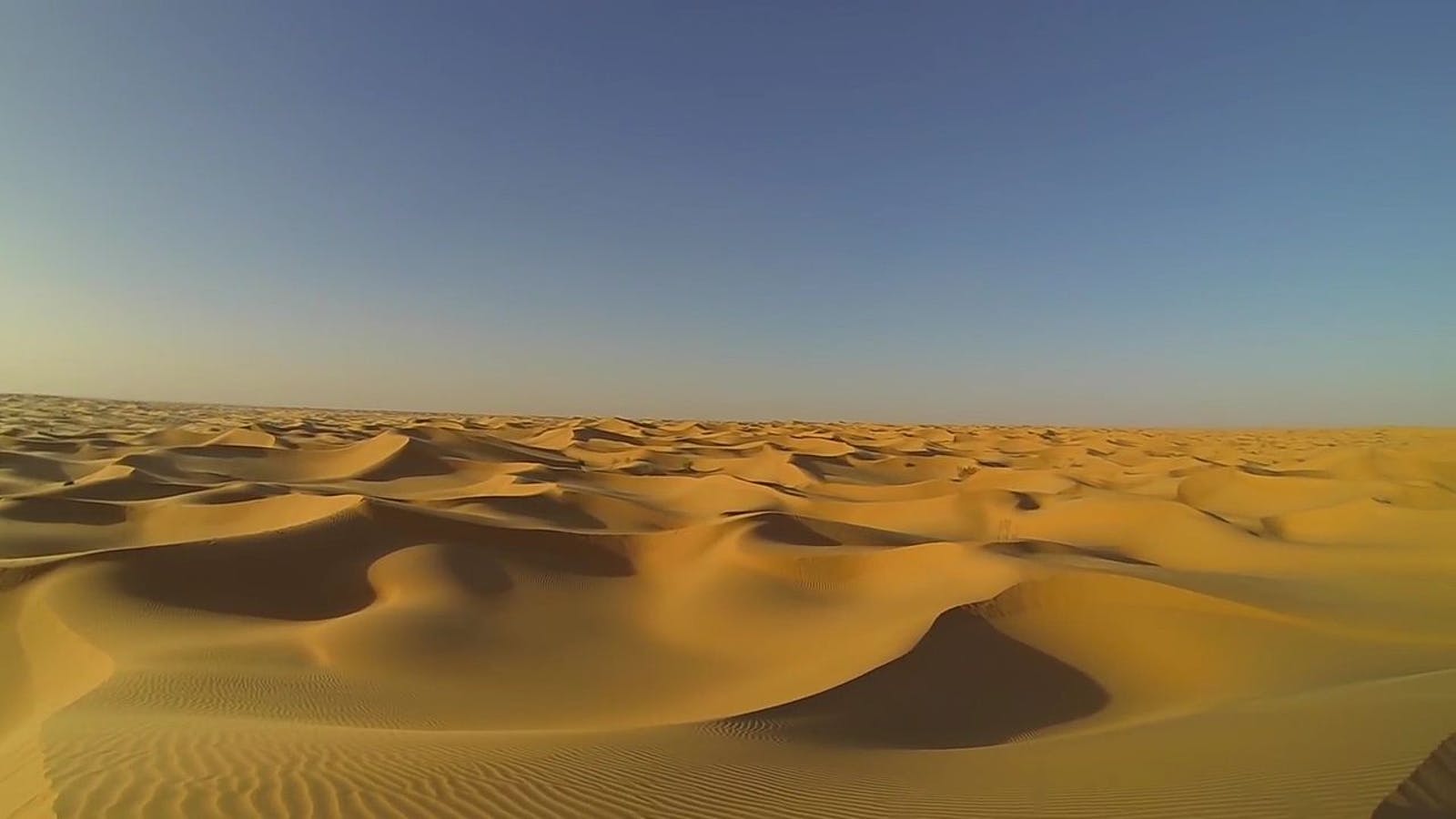 Sahara Desert In Summer Wallpapers