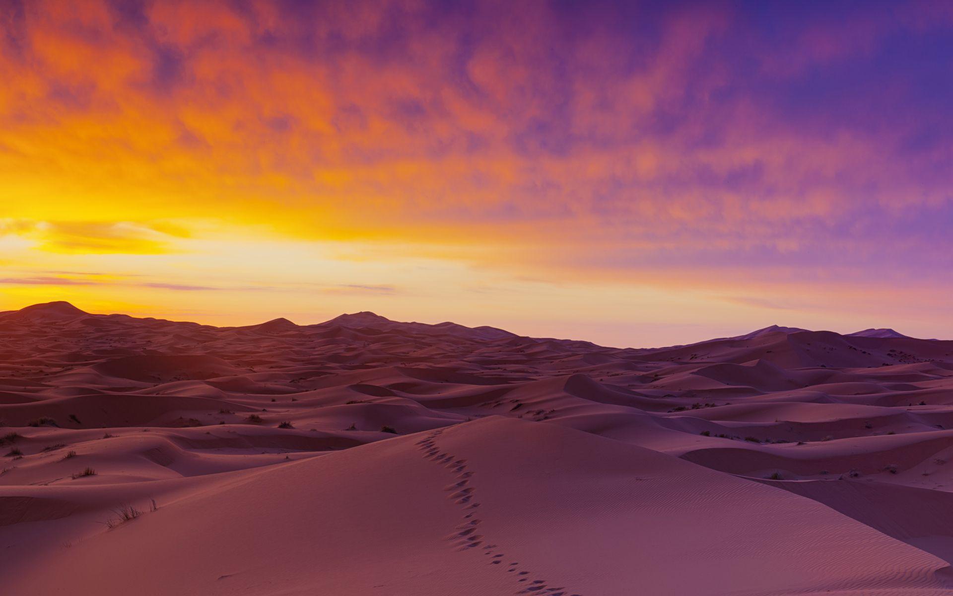 Sahara Desert In Summer Wallpapers