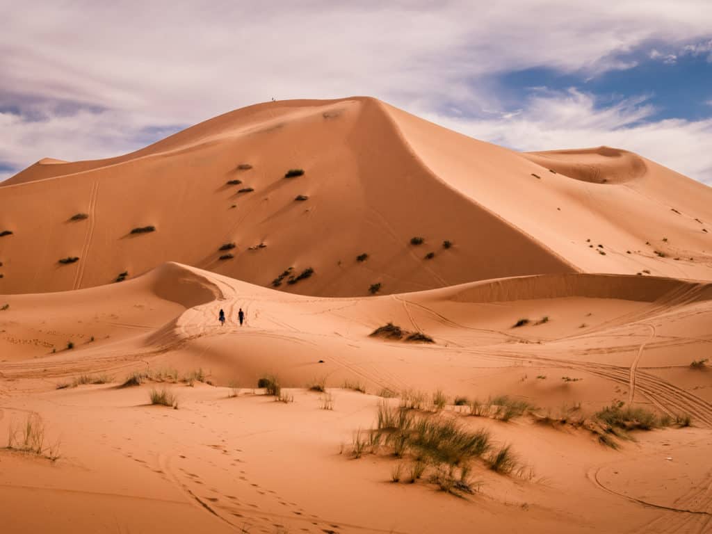 Sahara Desert In Summer Wallpapers