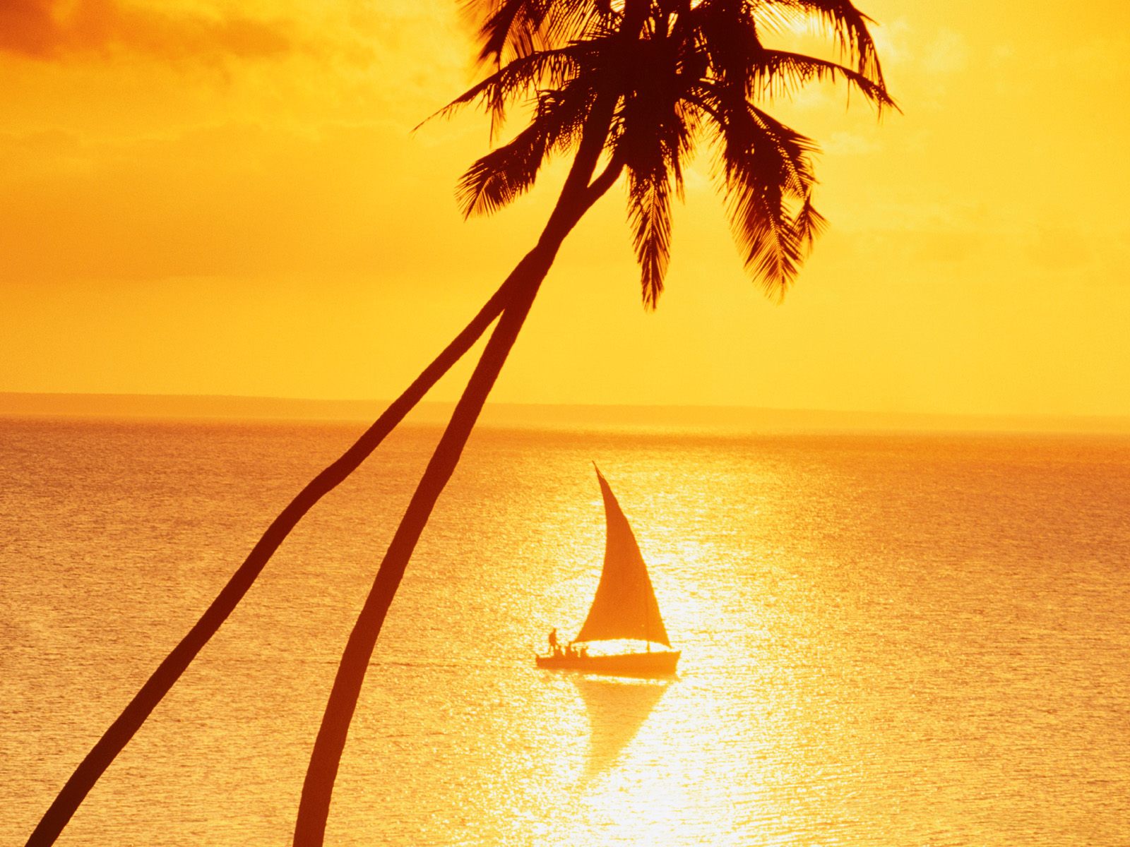 Sailboat Sunset Island In Ocean Wallpapers