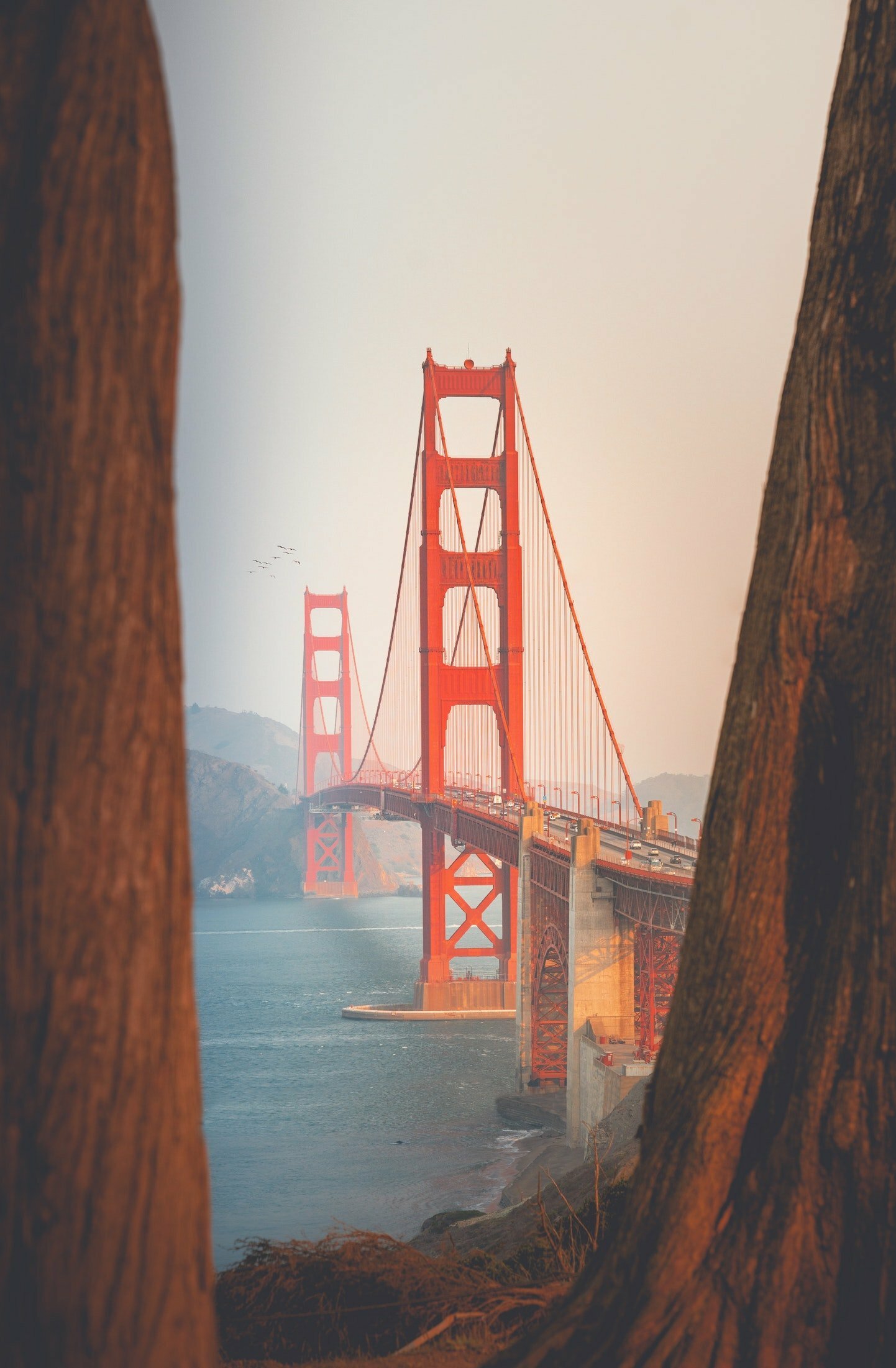 San Francisco Bridge Golden Gate Wallpapers