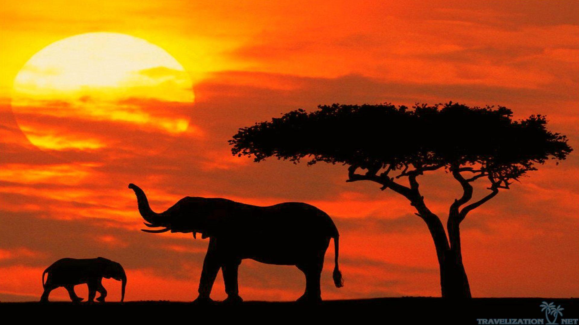 Savannah Kenya Wallpapers