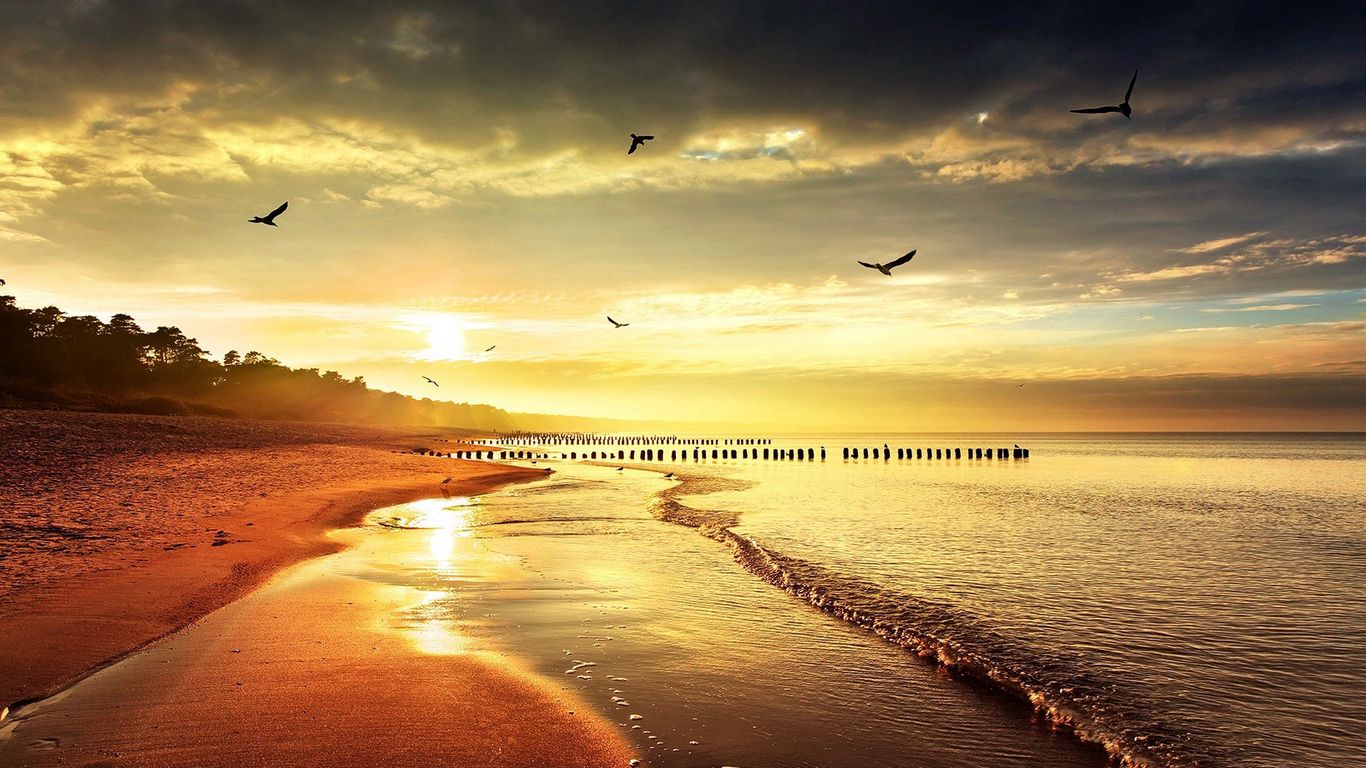 Sea Beach Nature Wallpapers