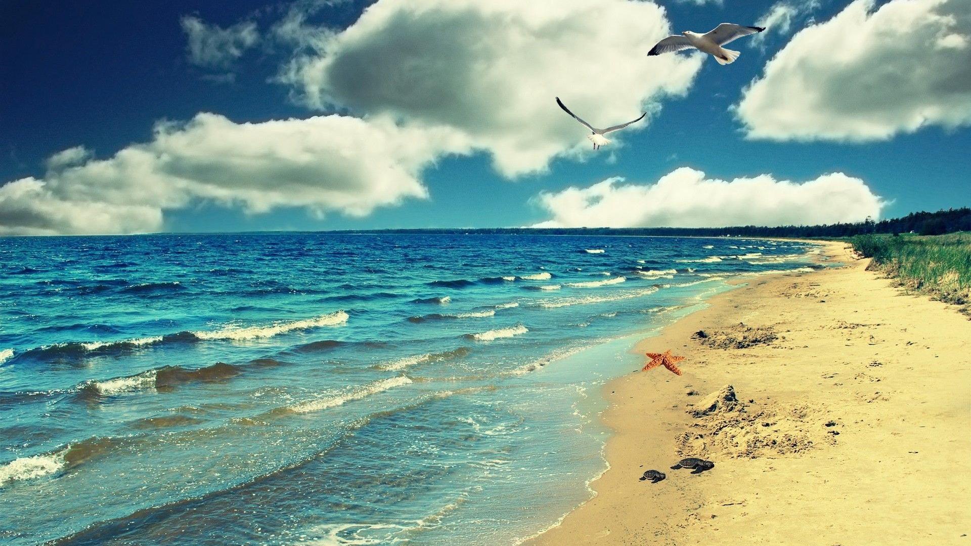 Sea Beach Nature Wallpapers