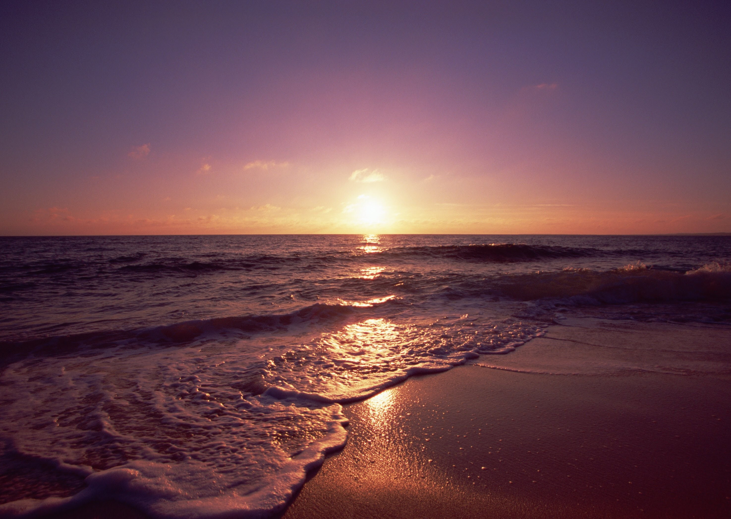 Sea Shore And Sunset Wallpapers