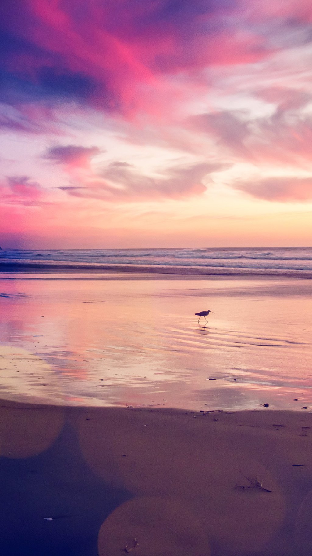 Sea Sunset Shore Birds Wallpapers