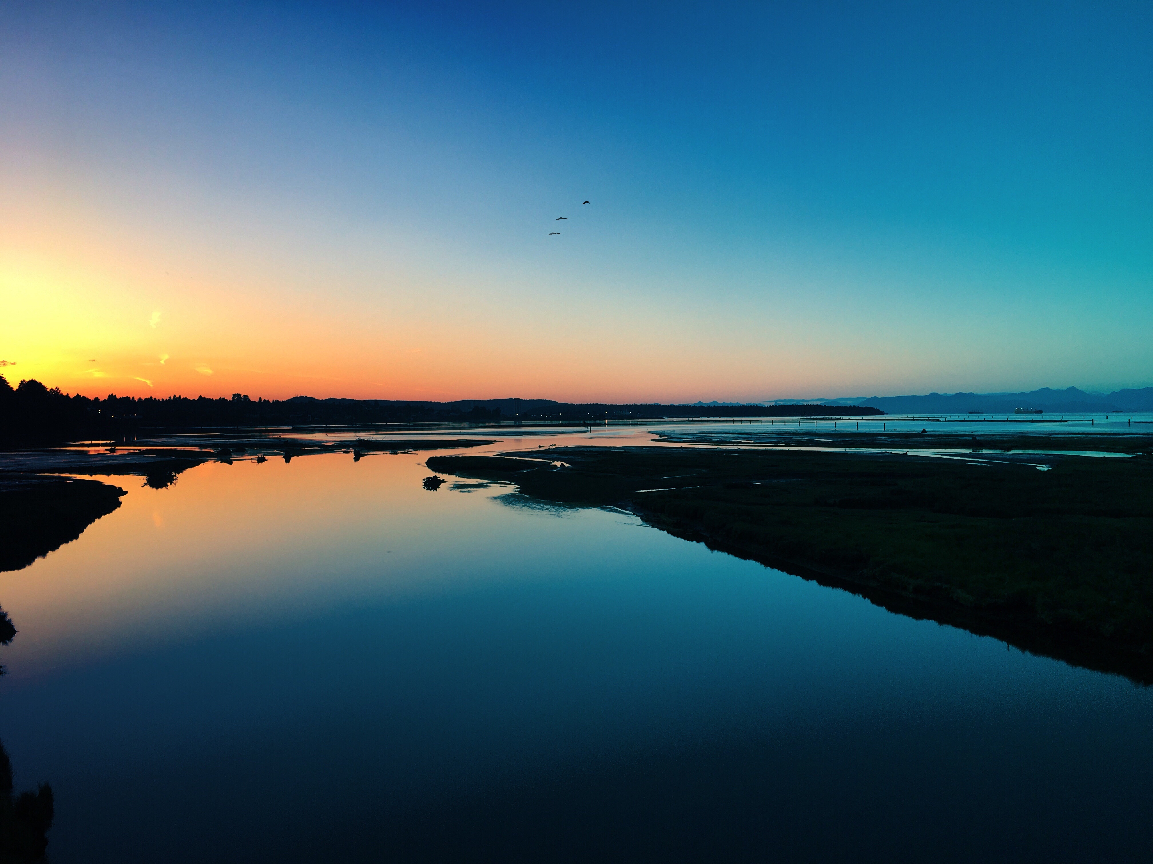 Sea Sunset Shore Birds Wallpapers