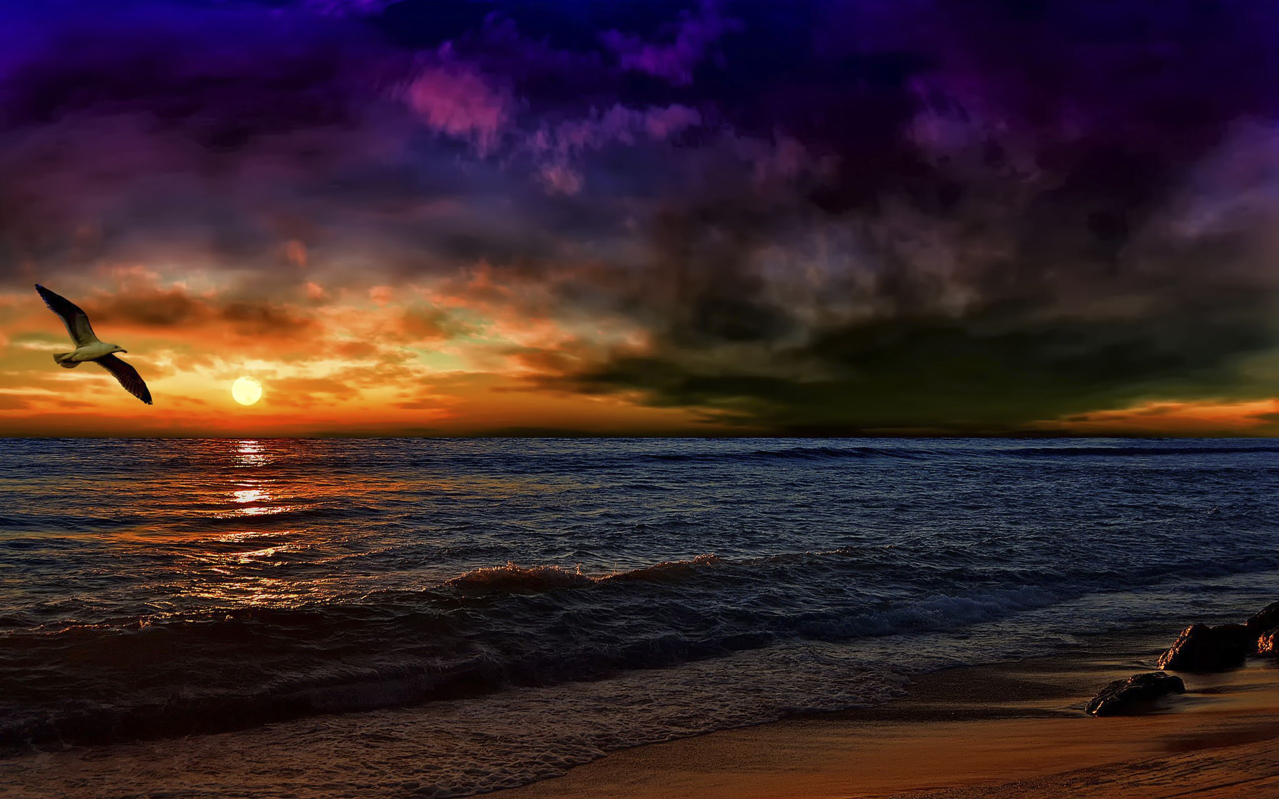 Sea Sunset Shore Birds Wallpapers