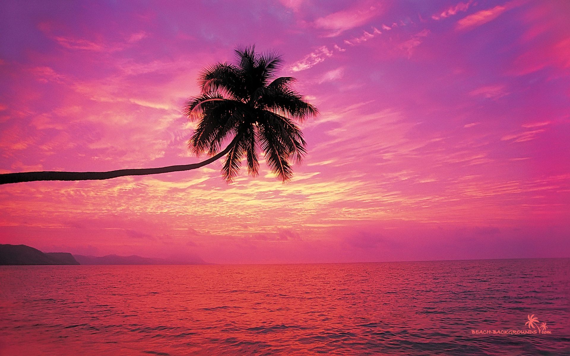 Seashore Colorful Sunset Wallpapers