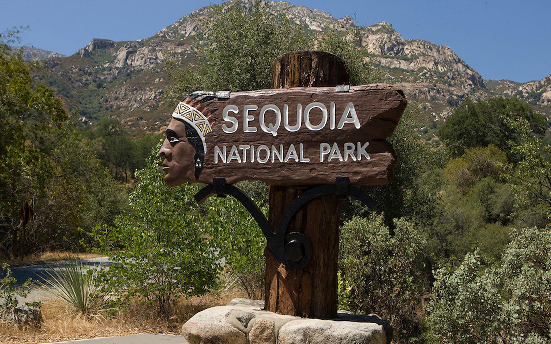 Sequoia National Park Wallpapers