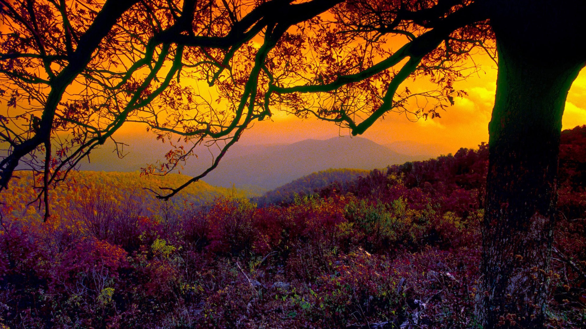 Shenandoah National Park Wallpapers