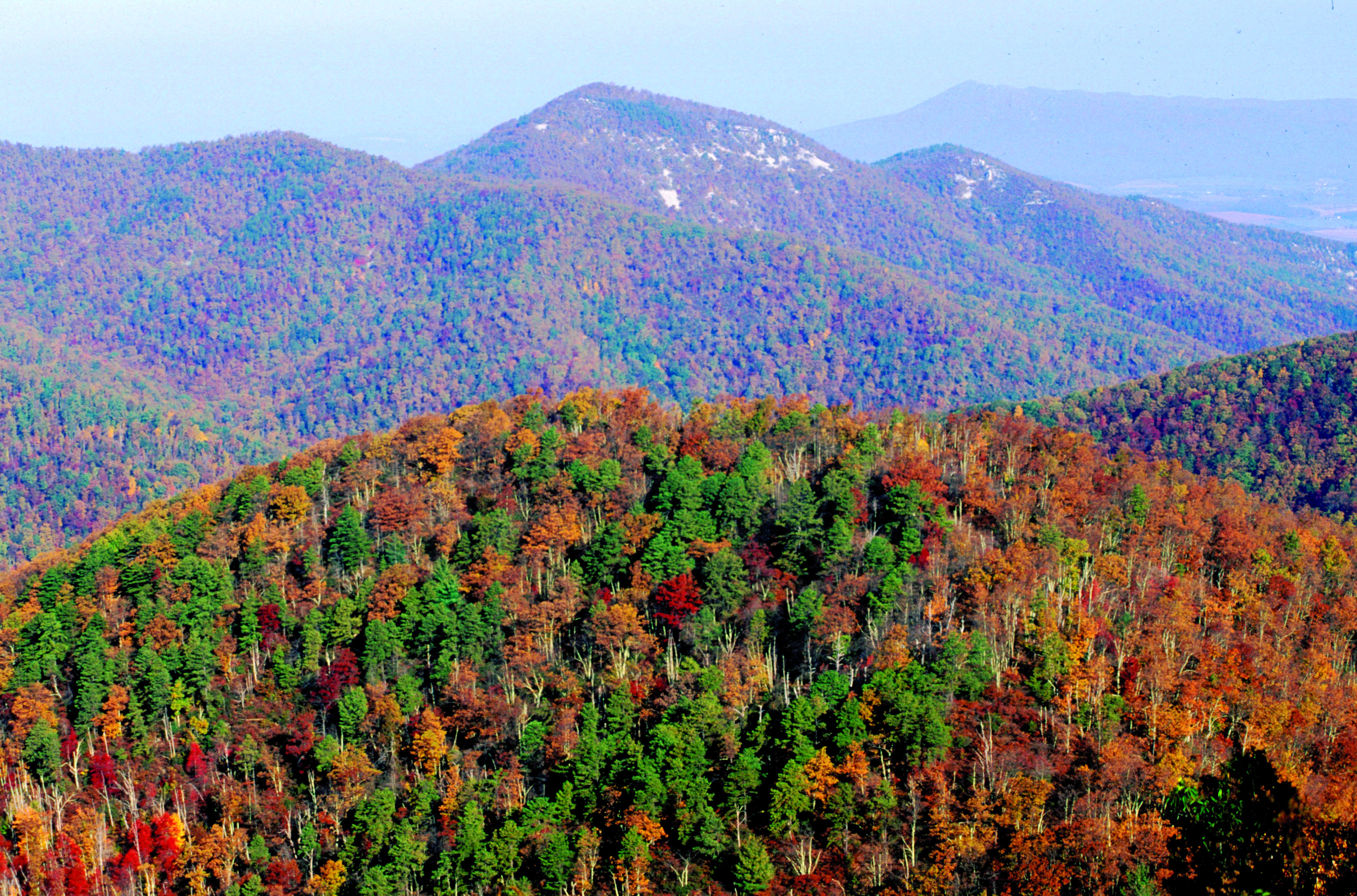 Shenandoah National Park Wallpapers