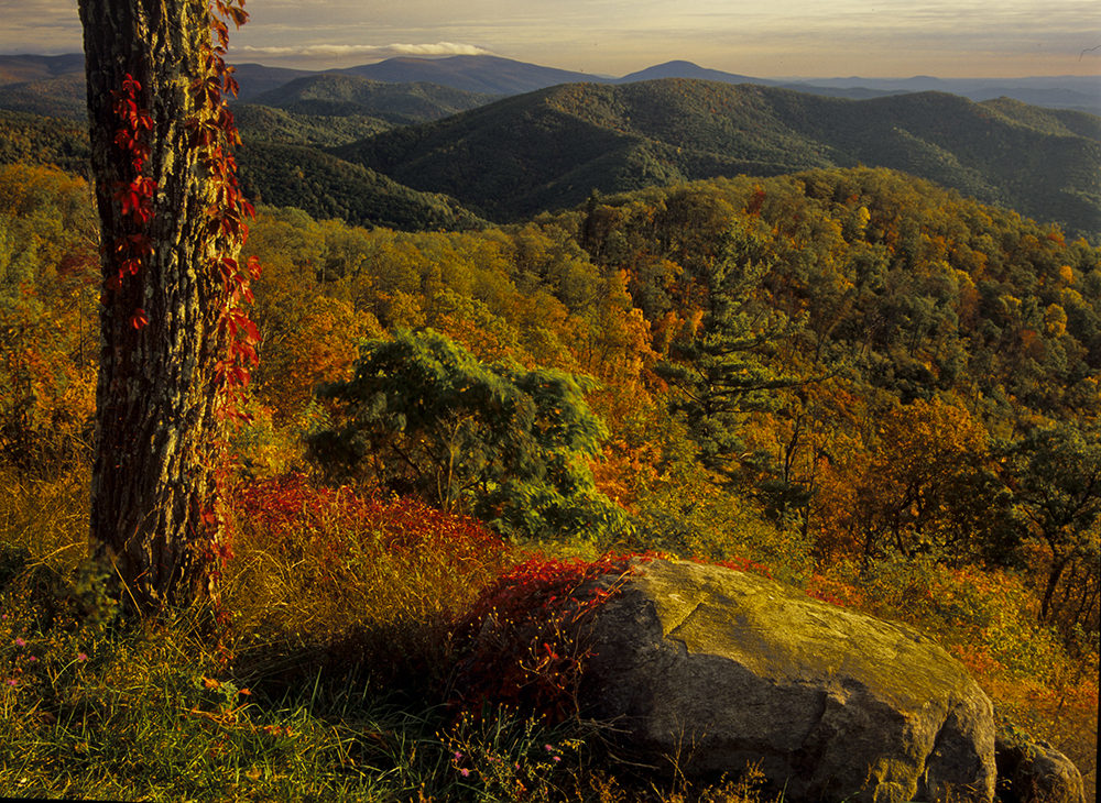 Shenandoah National Park Wallpapers