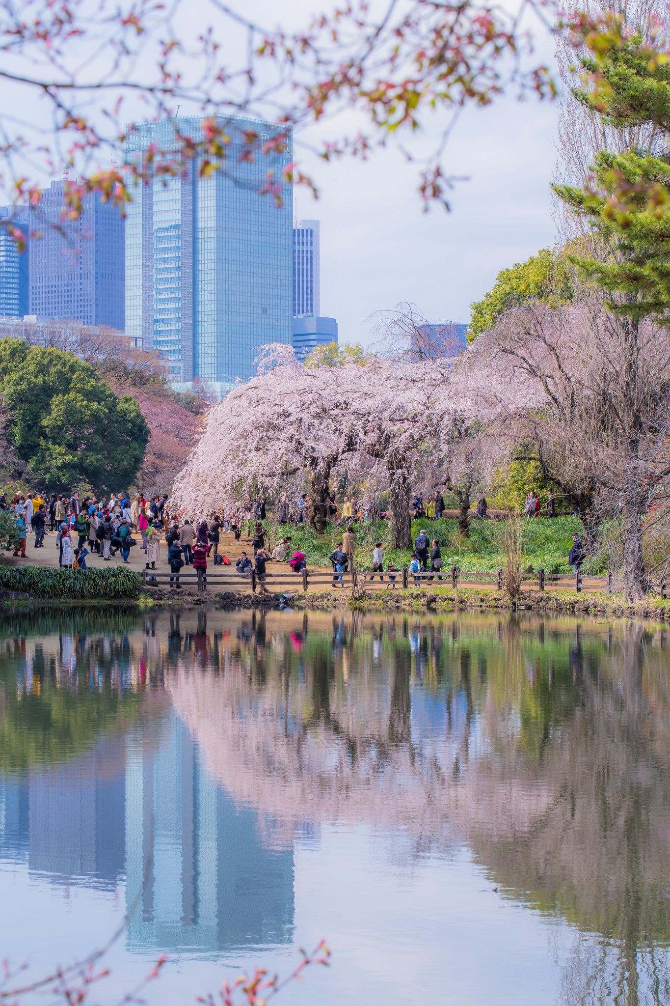 Shinjuku Gyoen Wallpapers