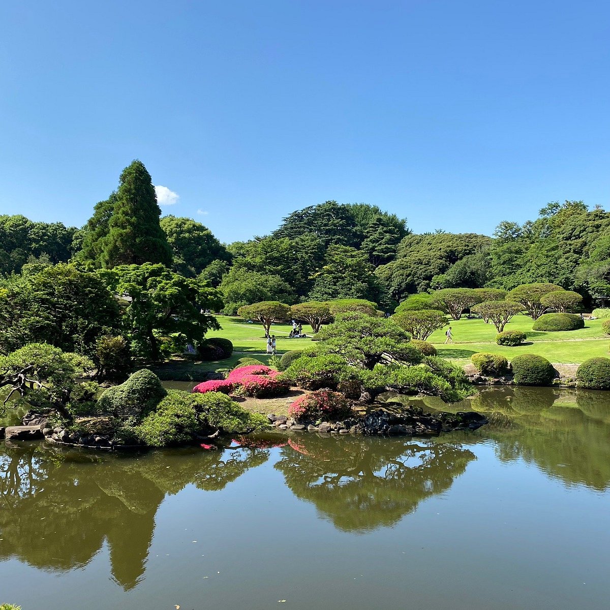 Shinjuku Gyoen Wallpapers