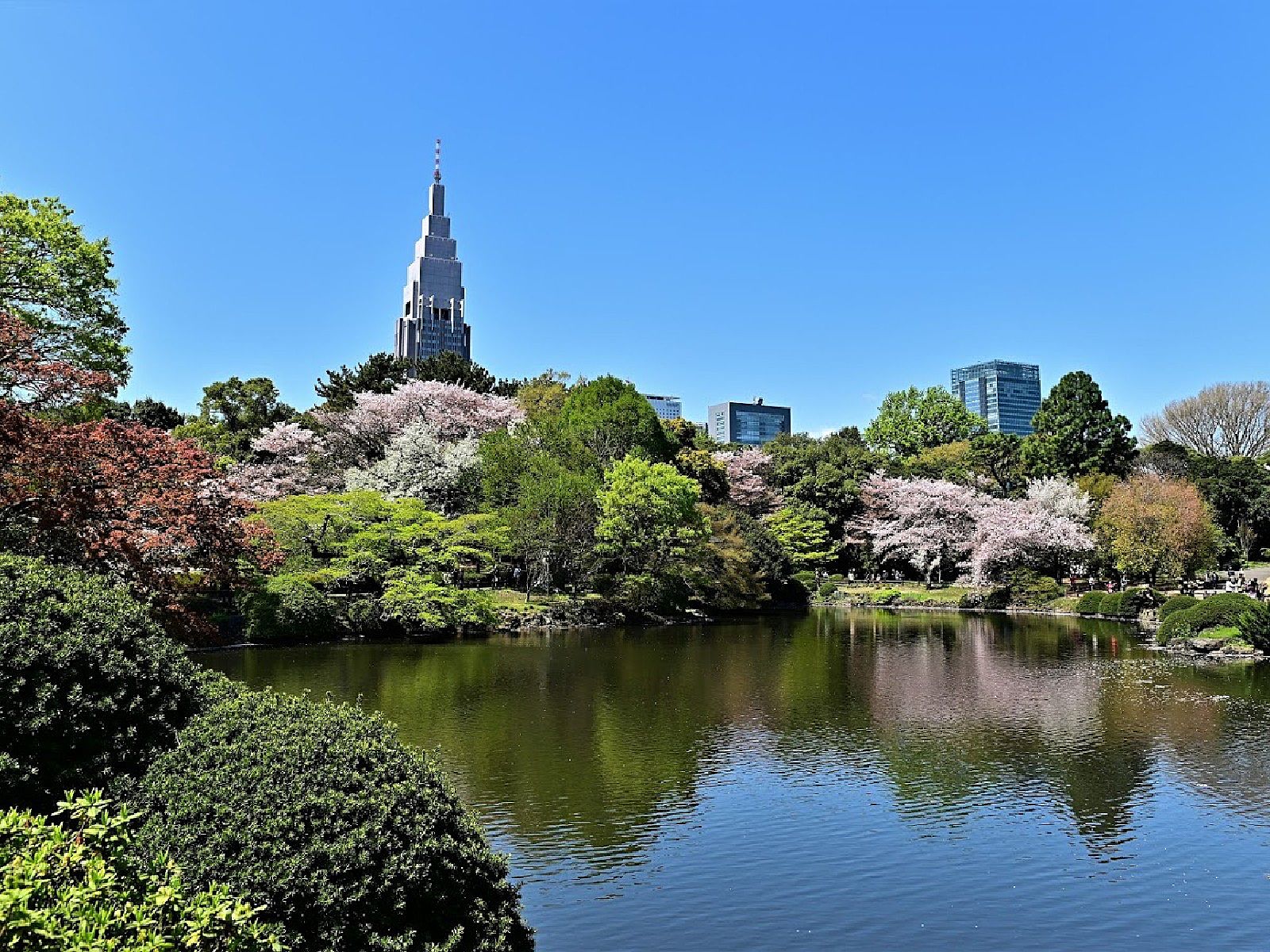 Shinjuku Gyoen Wallpapers