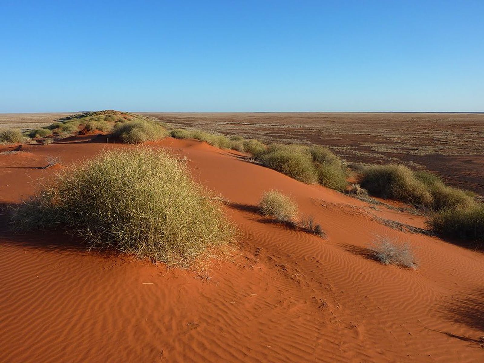 Simpson Desert Wallpapers