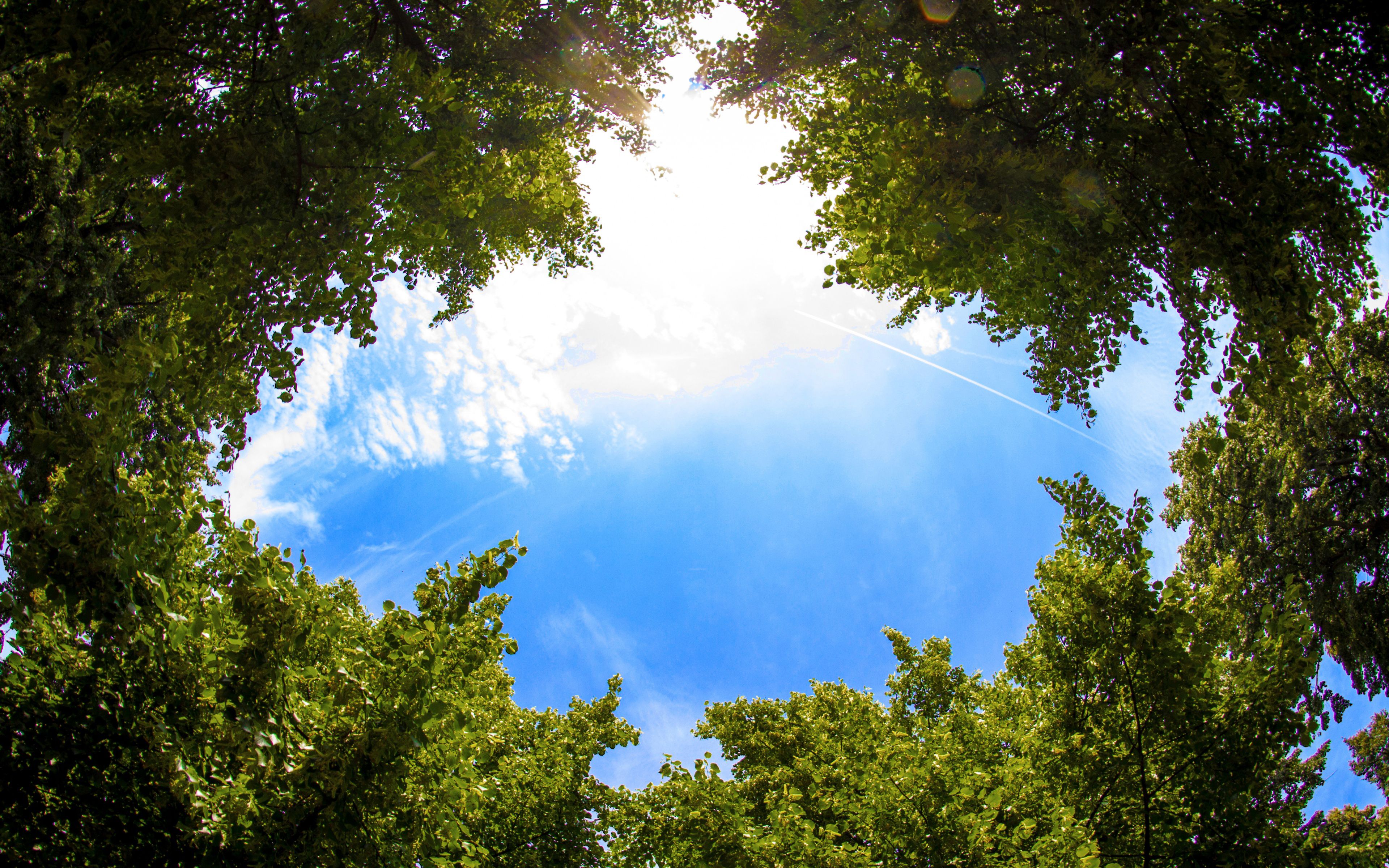 Sky, Bench And Trees Wallpapers