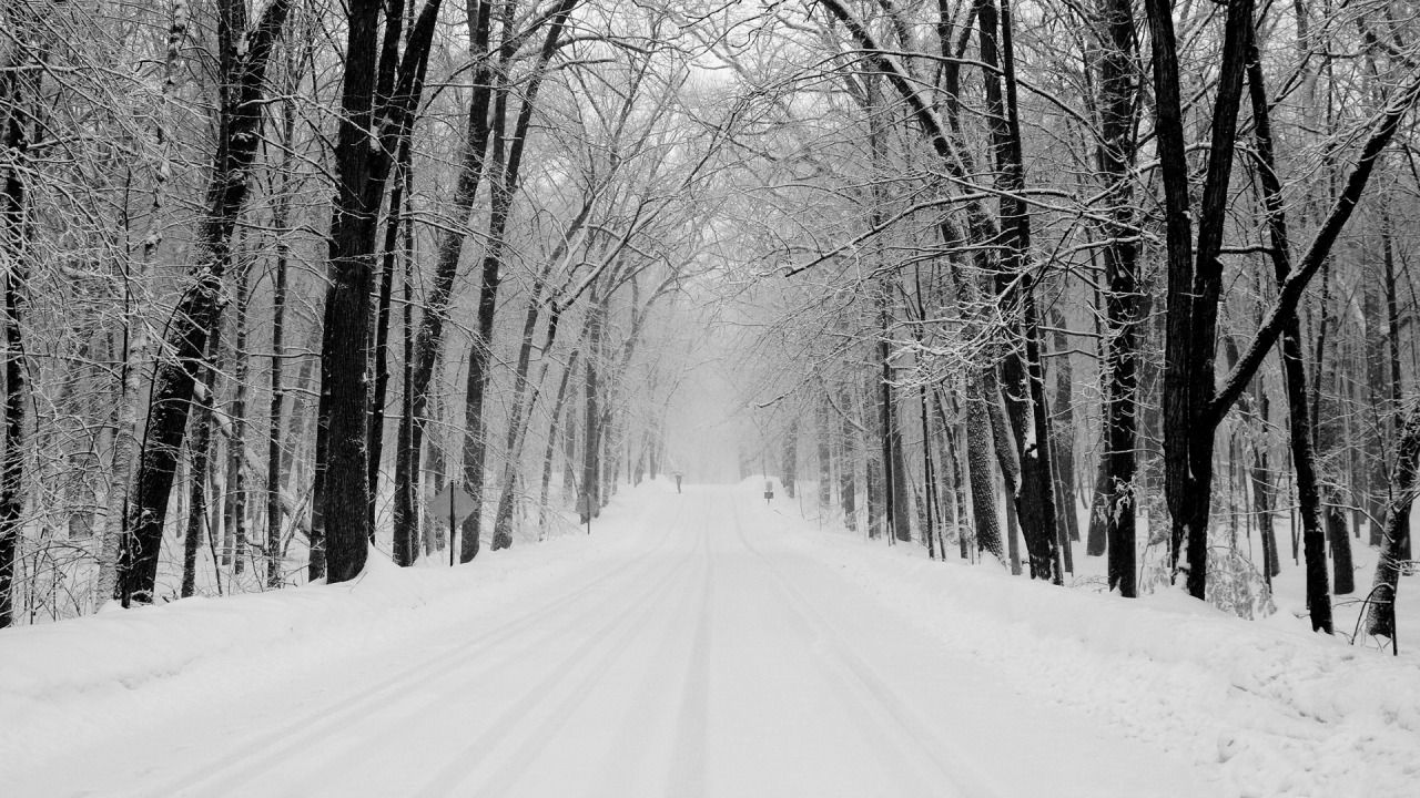 Snow Covered Forest Road Wallpapers