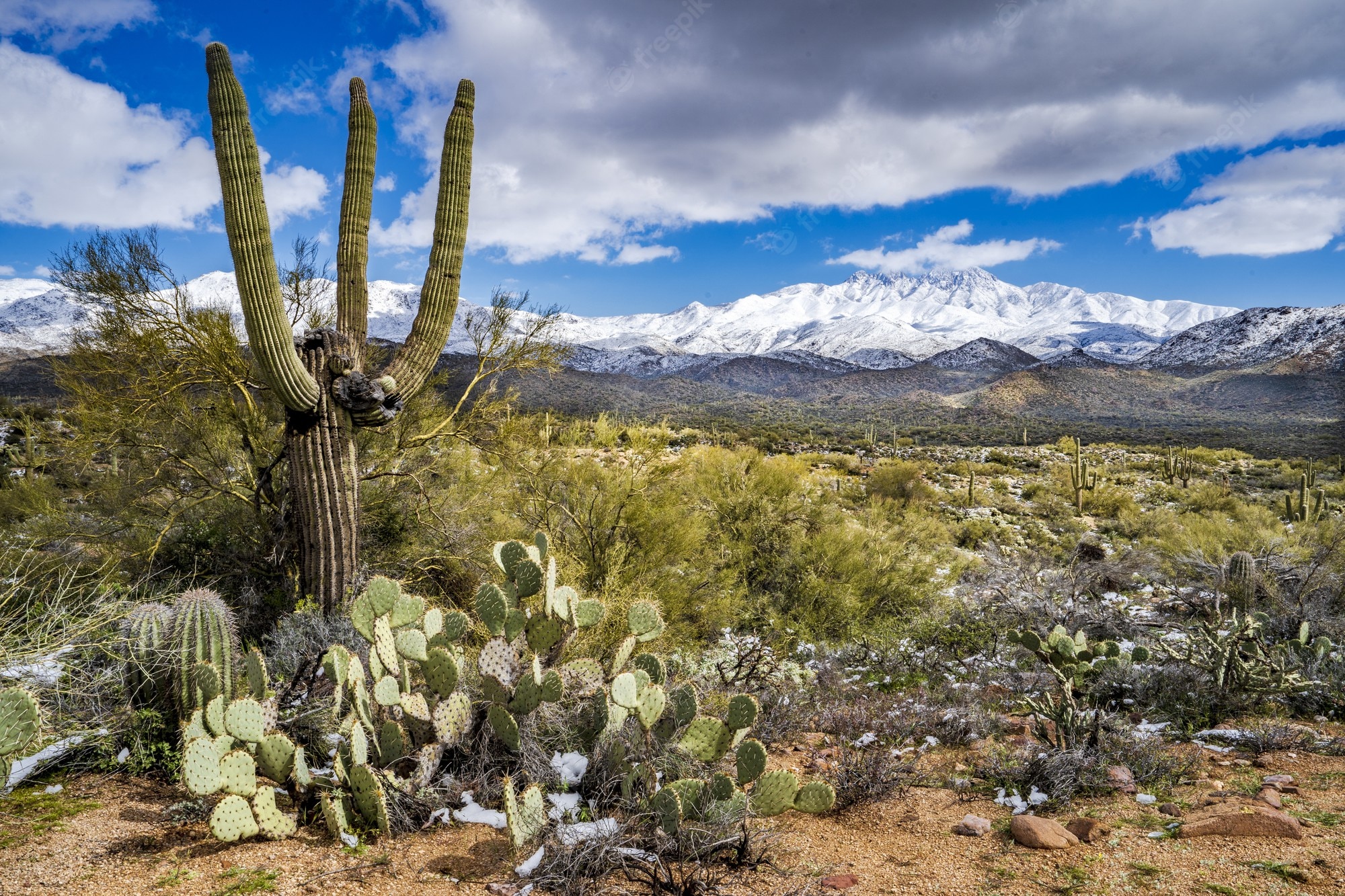 Snow On A Mountain Behind The Desert Wallpapers