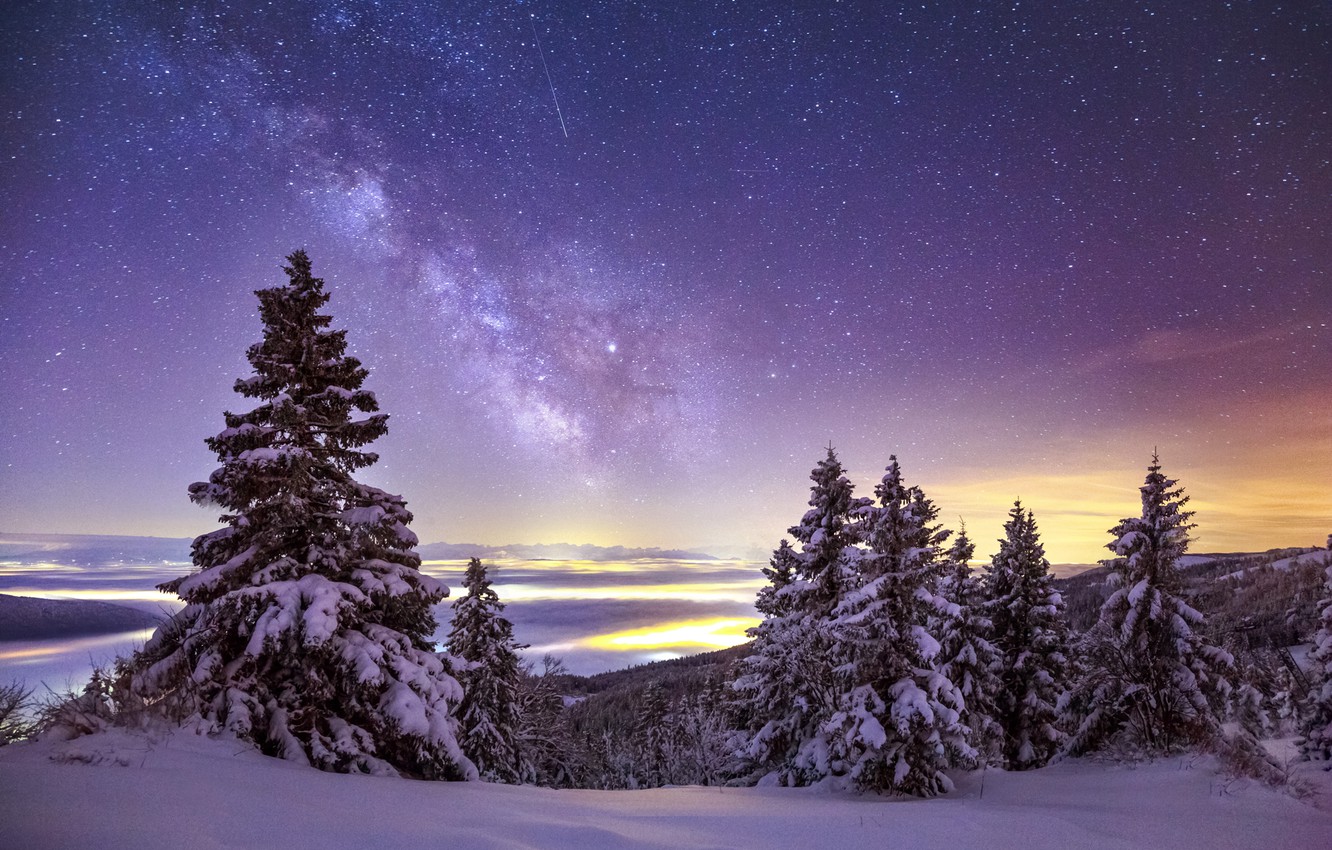 Snow Sky Stars Trees Wallpapers