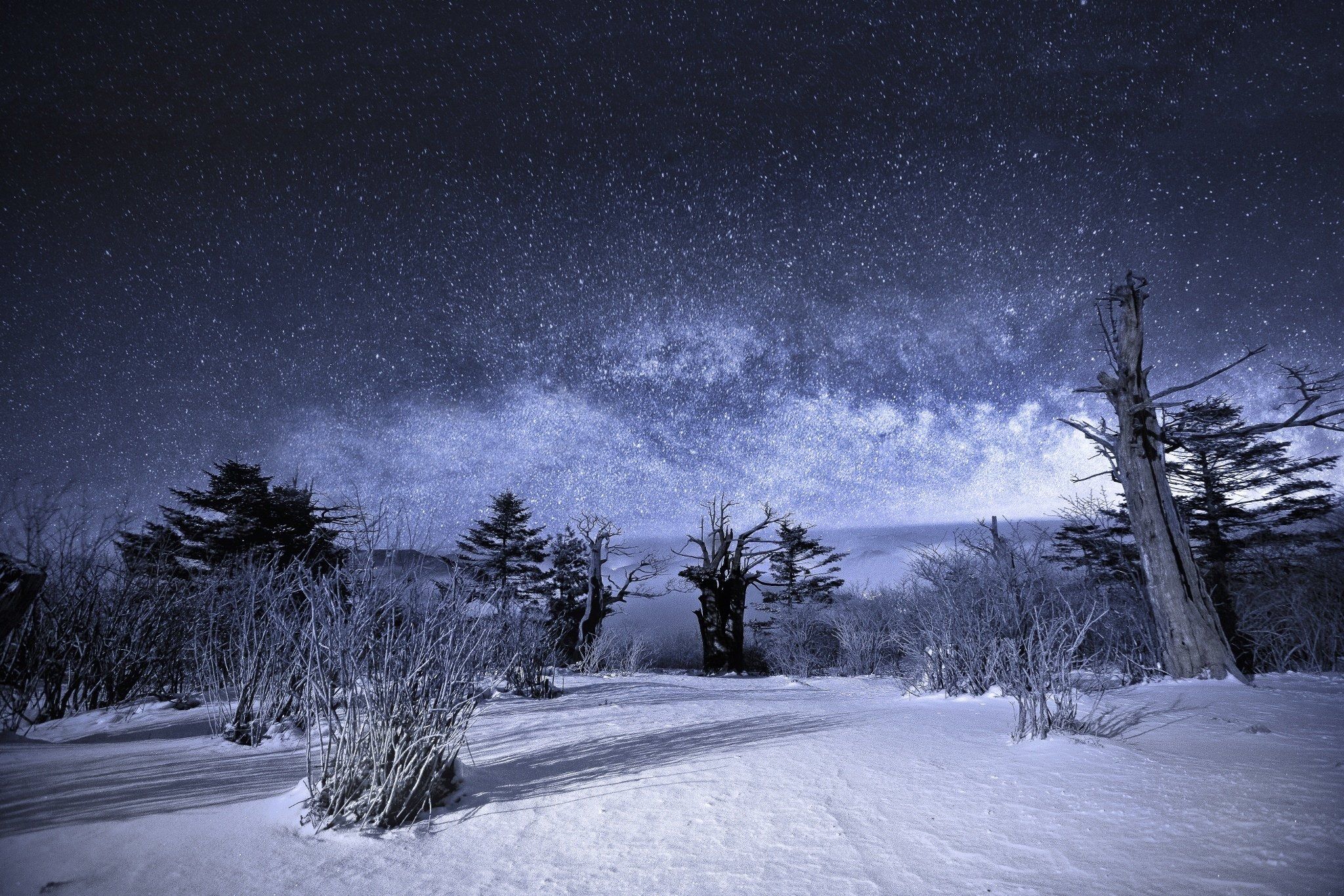 Snow Sky Stars Trees Wallpapers