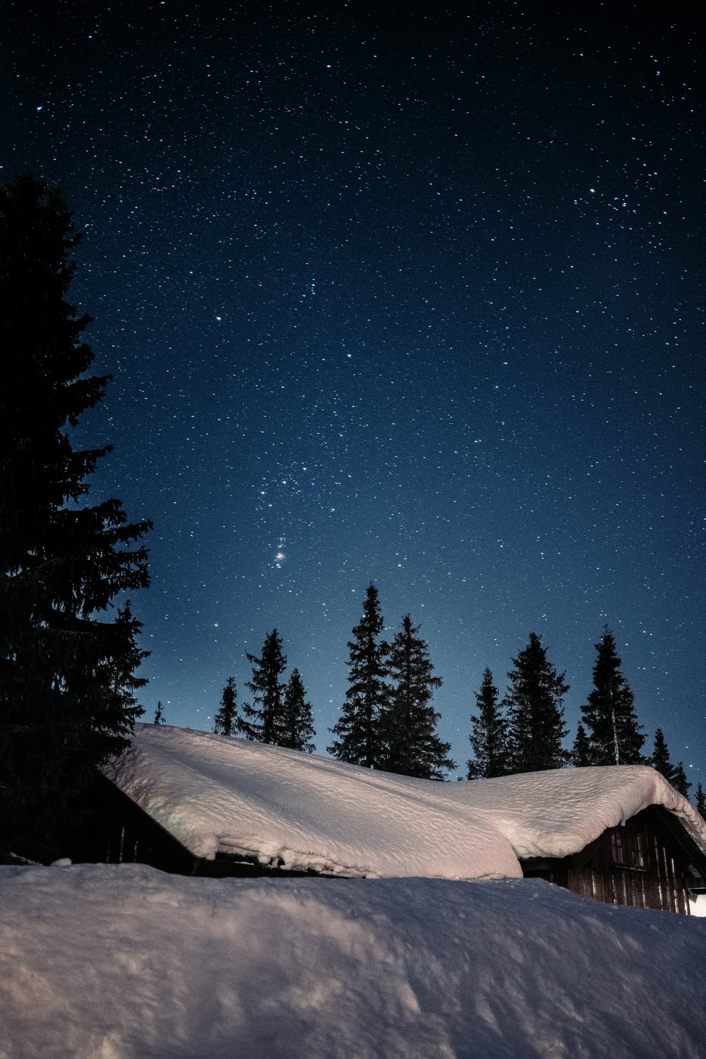 Snow Sky Stars Trees Wallpapers