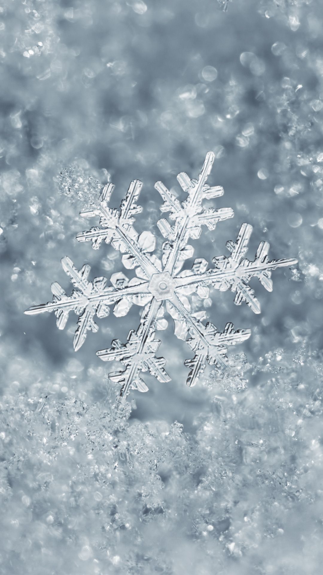 Snowflake Wallpapers