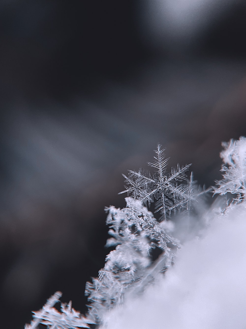 Snowflake Wallpapers