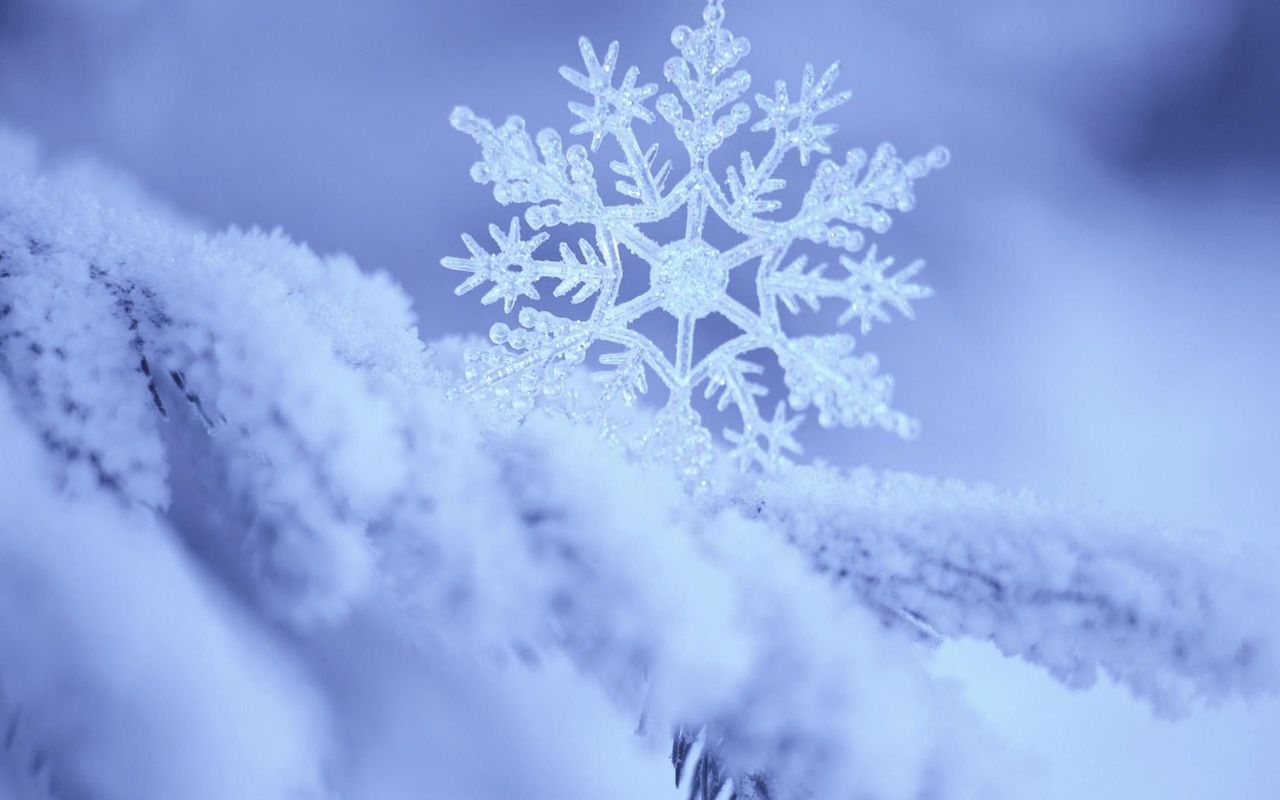 Snowflake Wallpapers