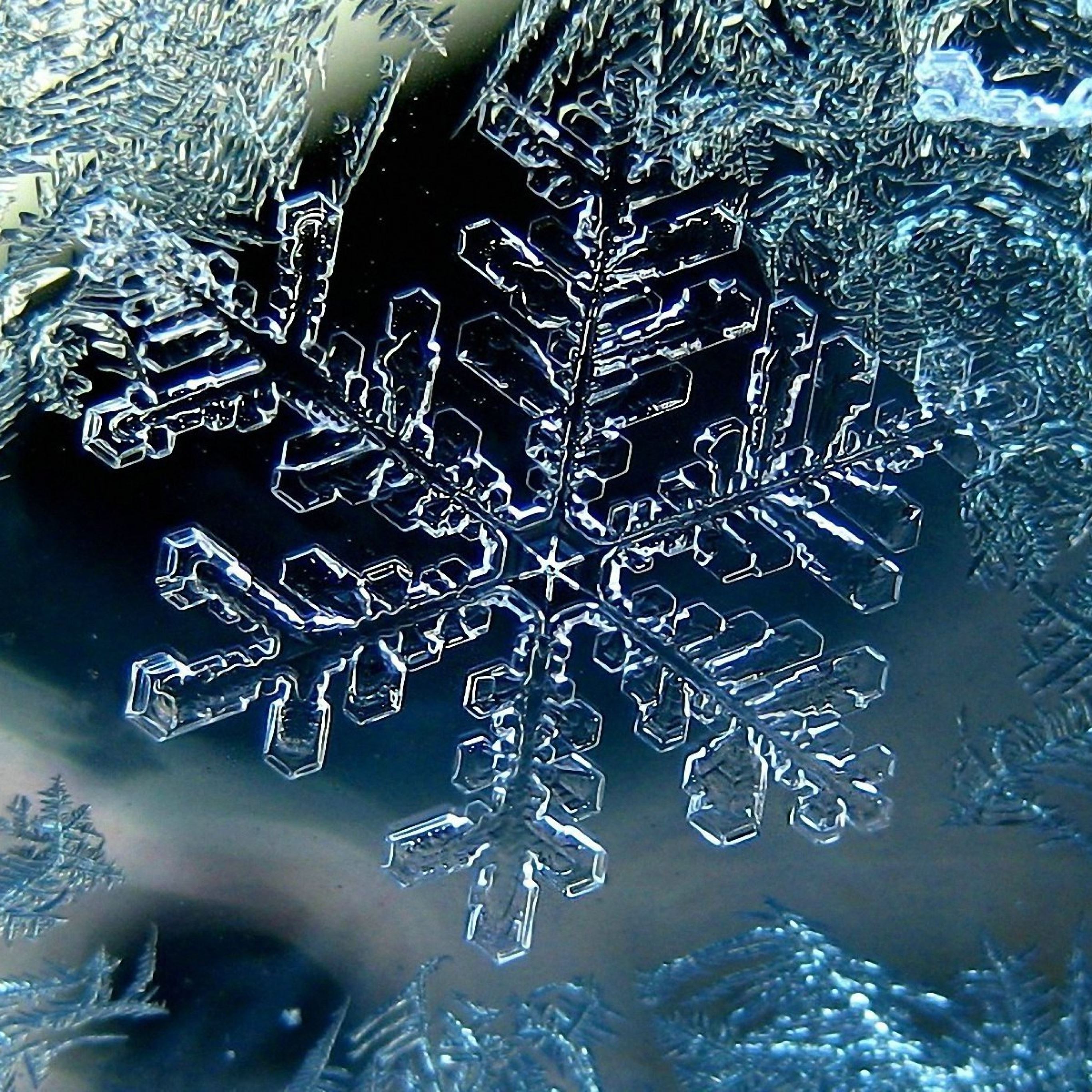 Snowflake Wallpapers